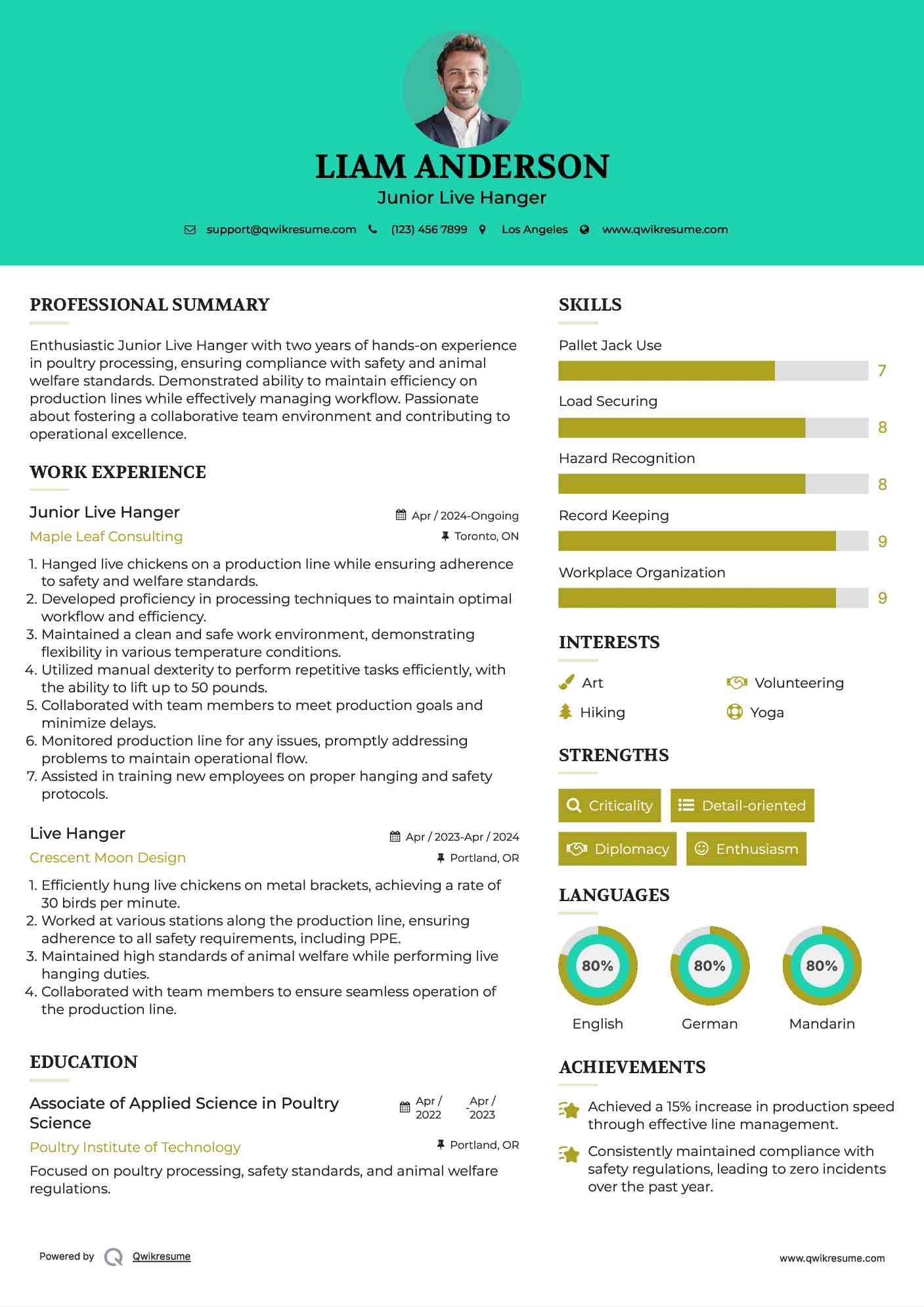 Junior Live Hanger Resume Model