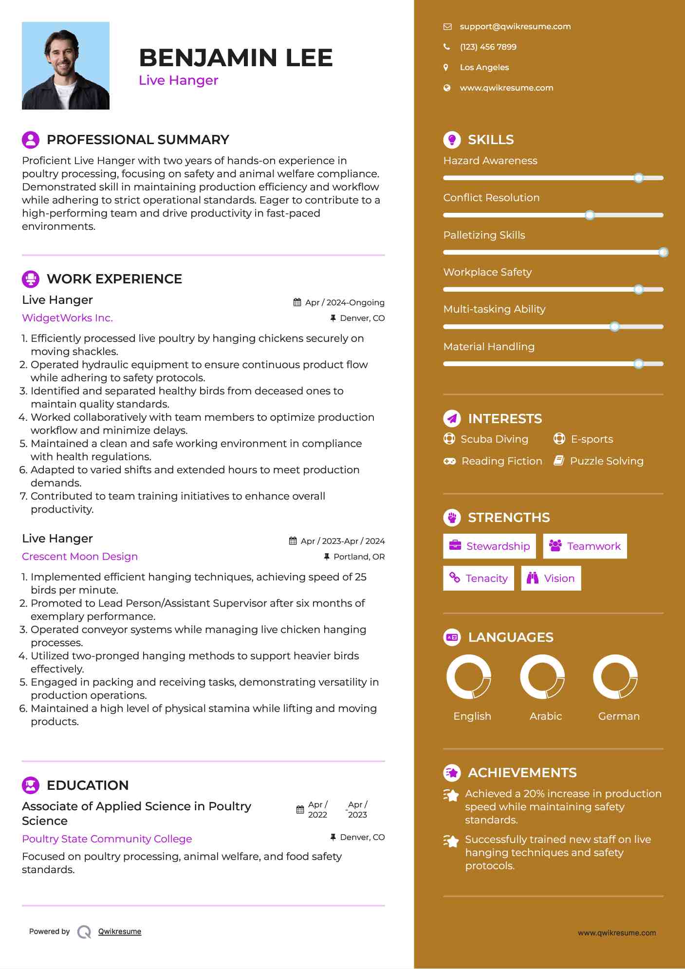 Live Hanger Resume Model