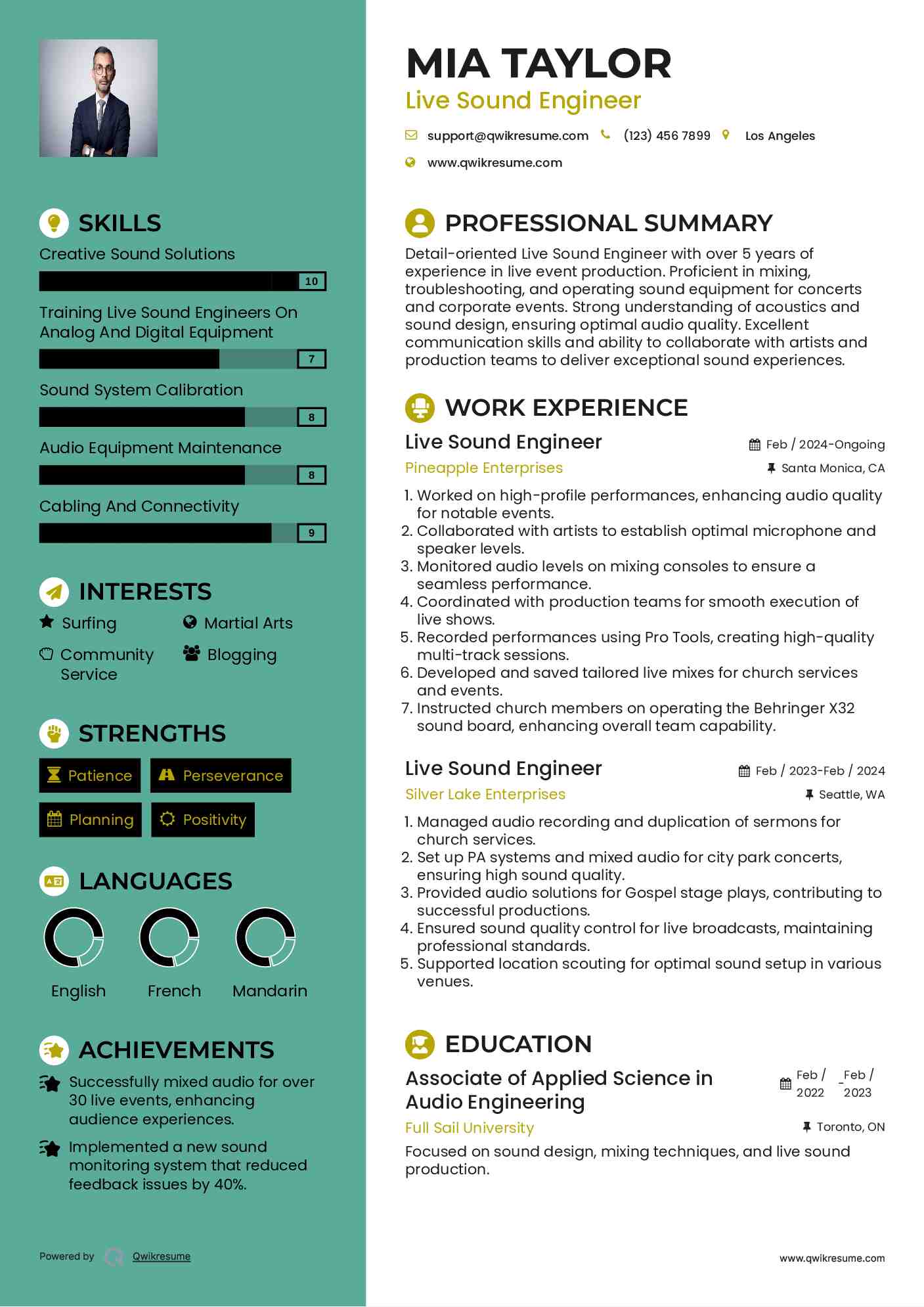 Live Sound Engineer Resume Template