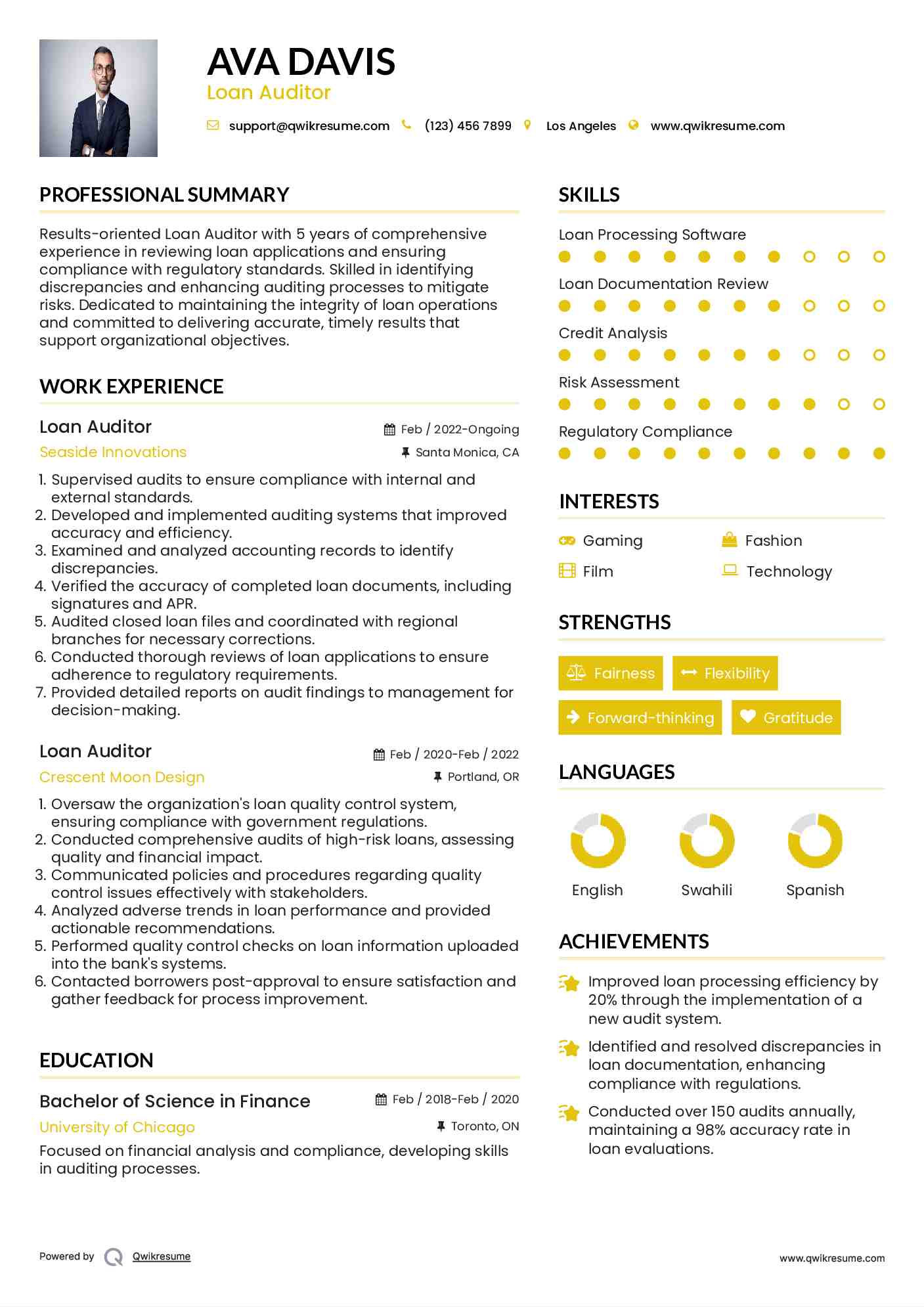 Loan Auditor Resume Format