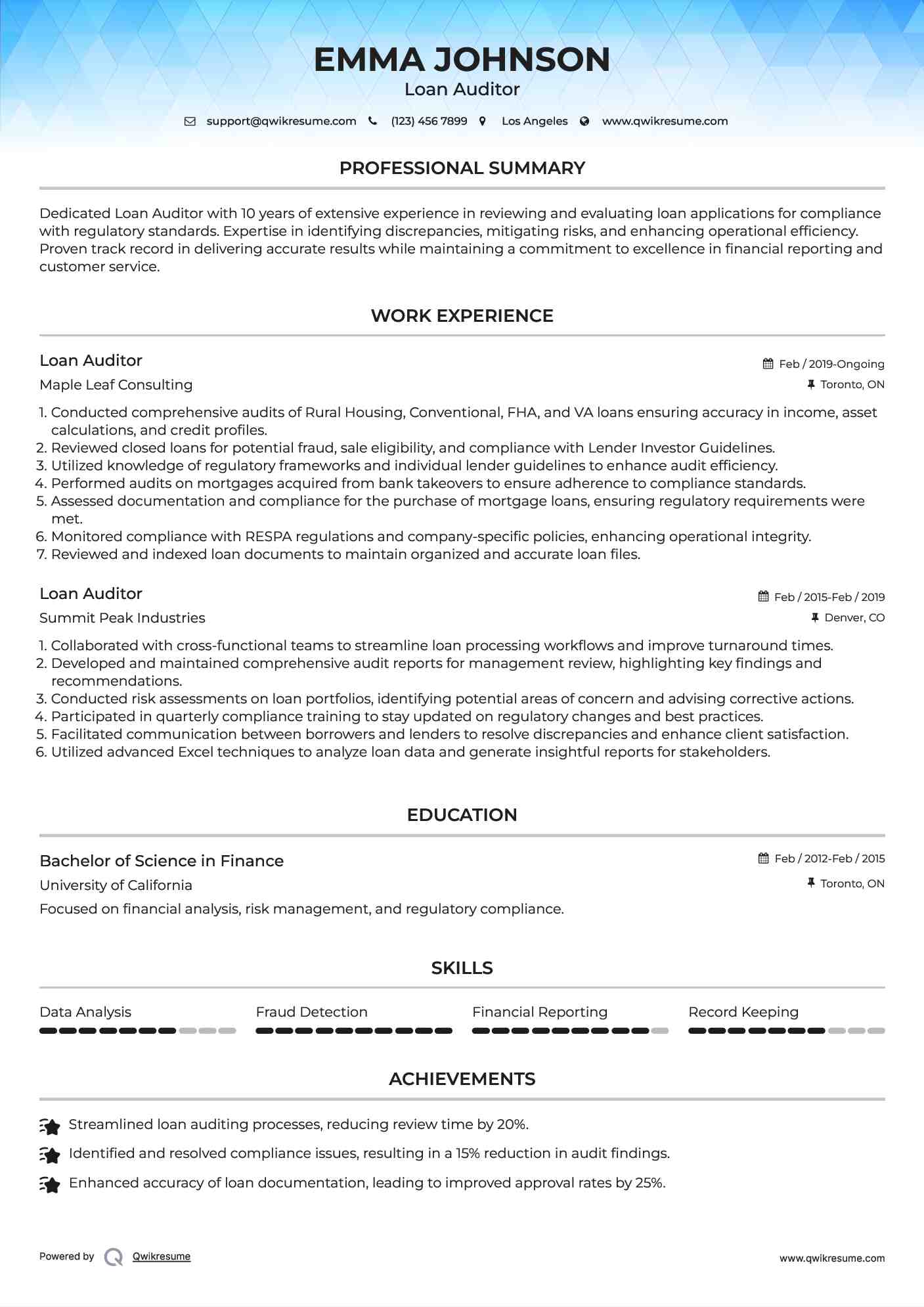 Loan Auditor Resume Format