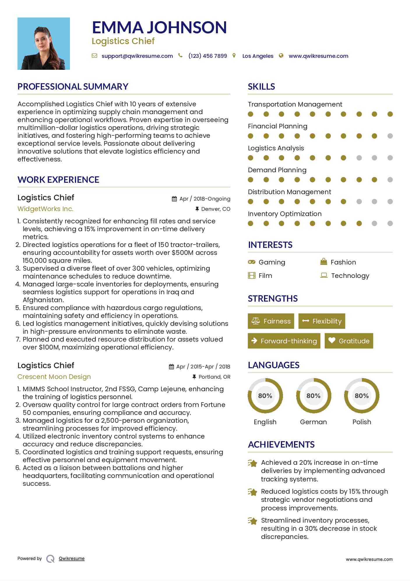 Logistics Chief Resume Model