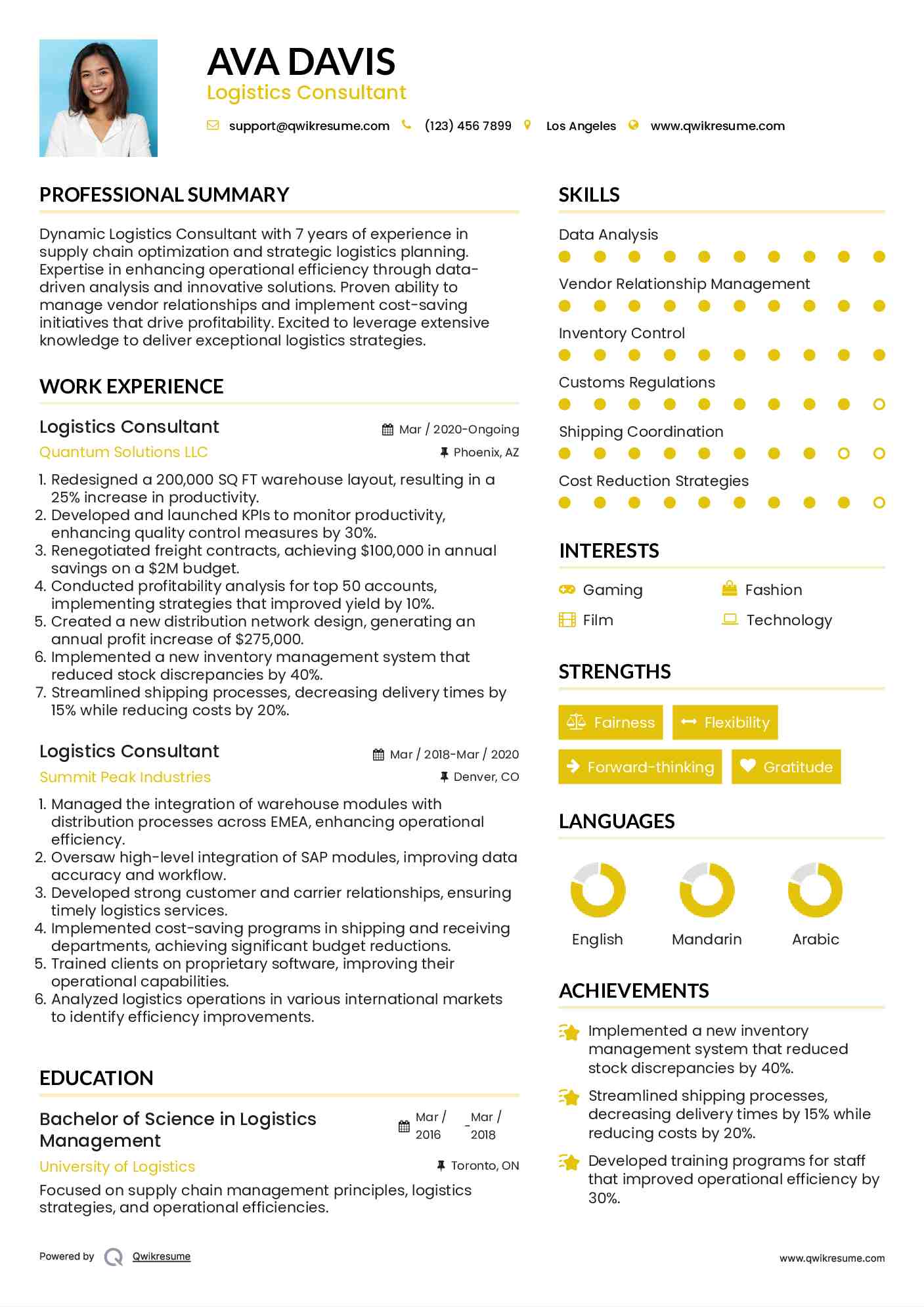 Logistics Consultant Resume Model