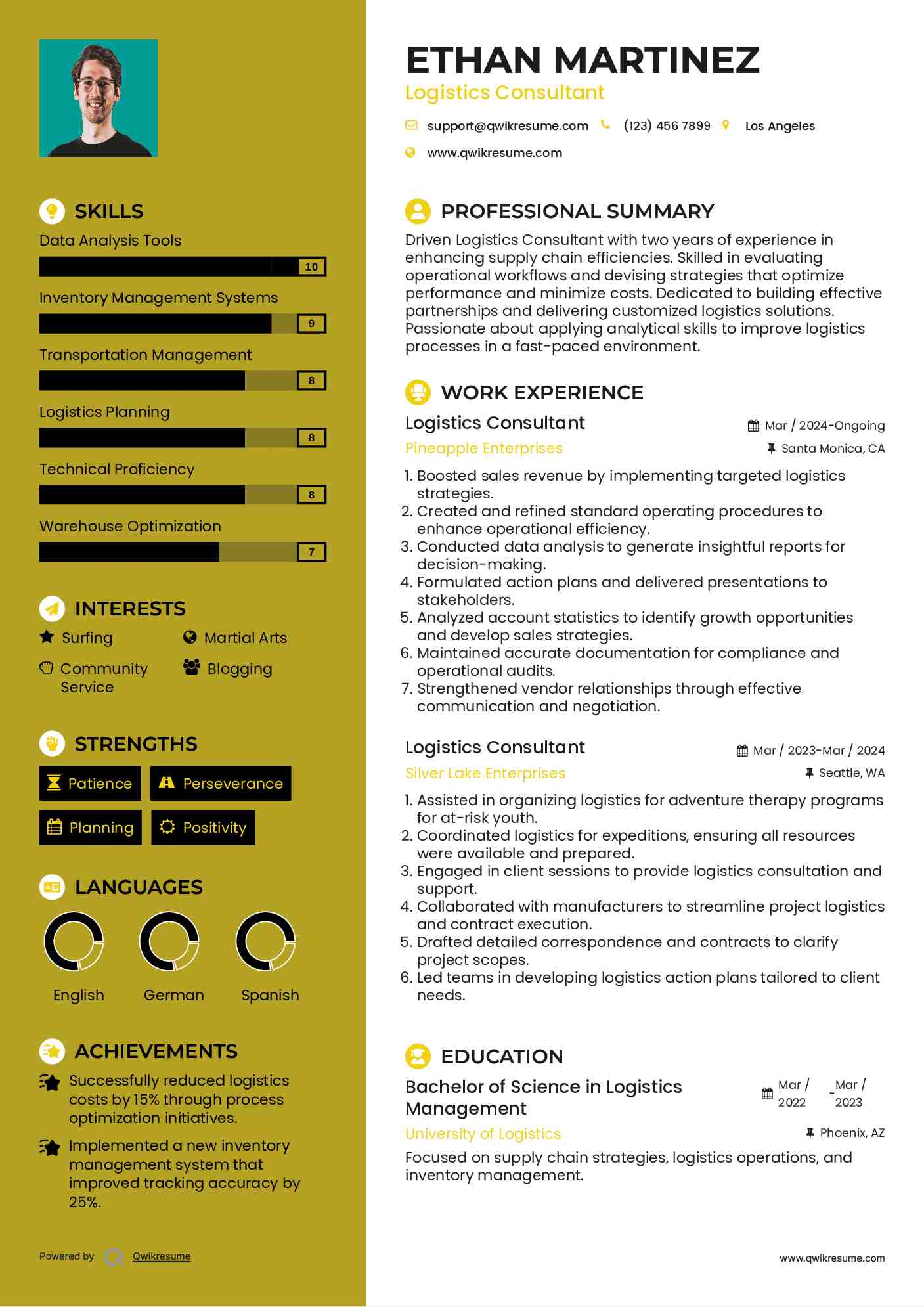 Logistics Consultant Resume Template