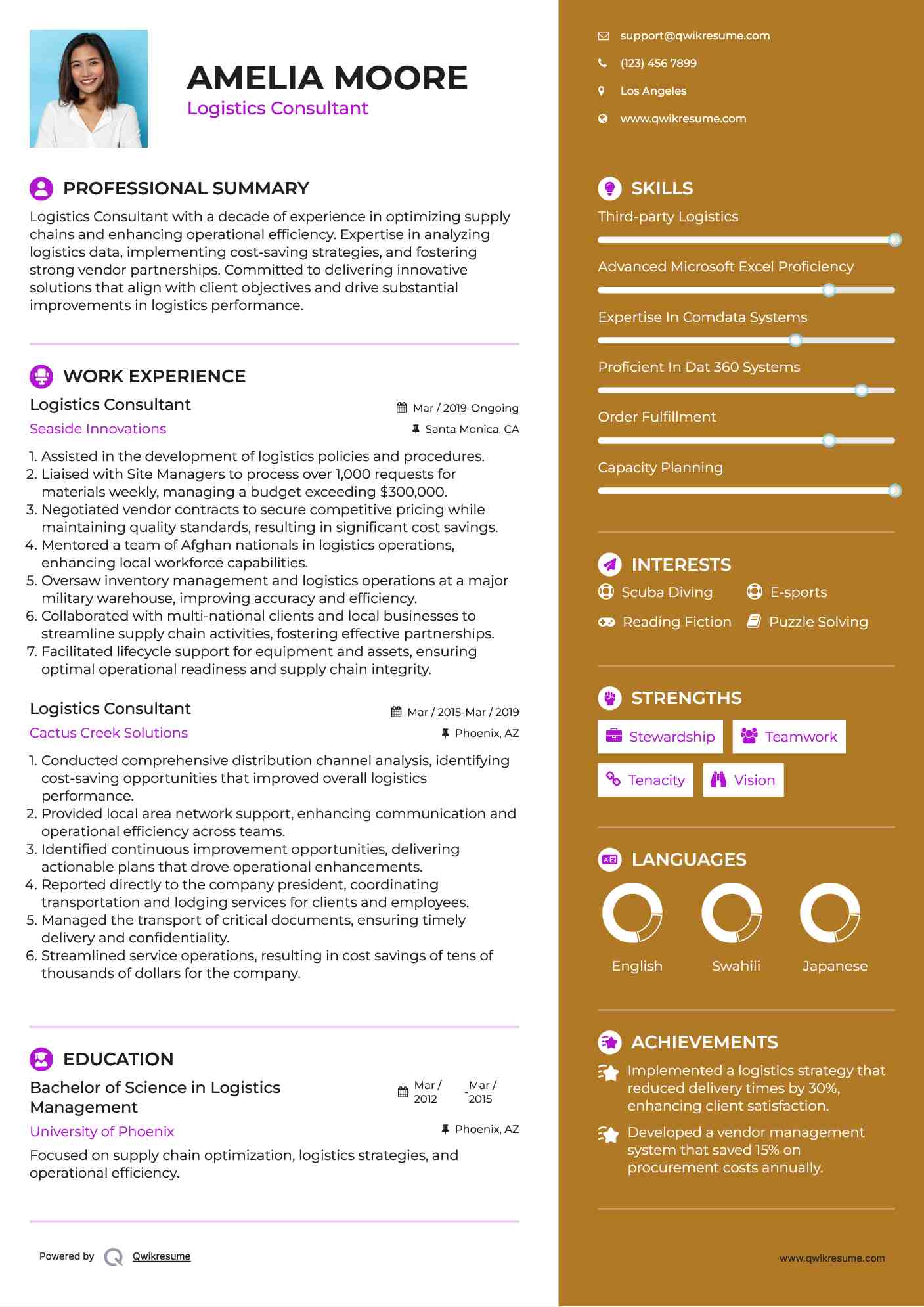 Logistics Consultant Resume Example