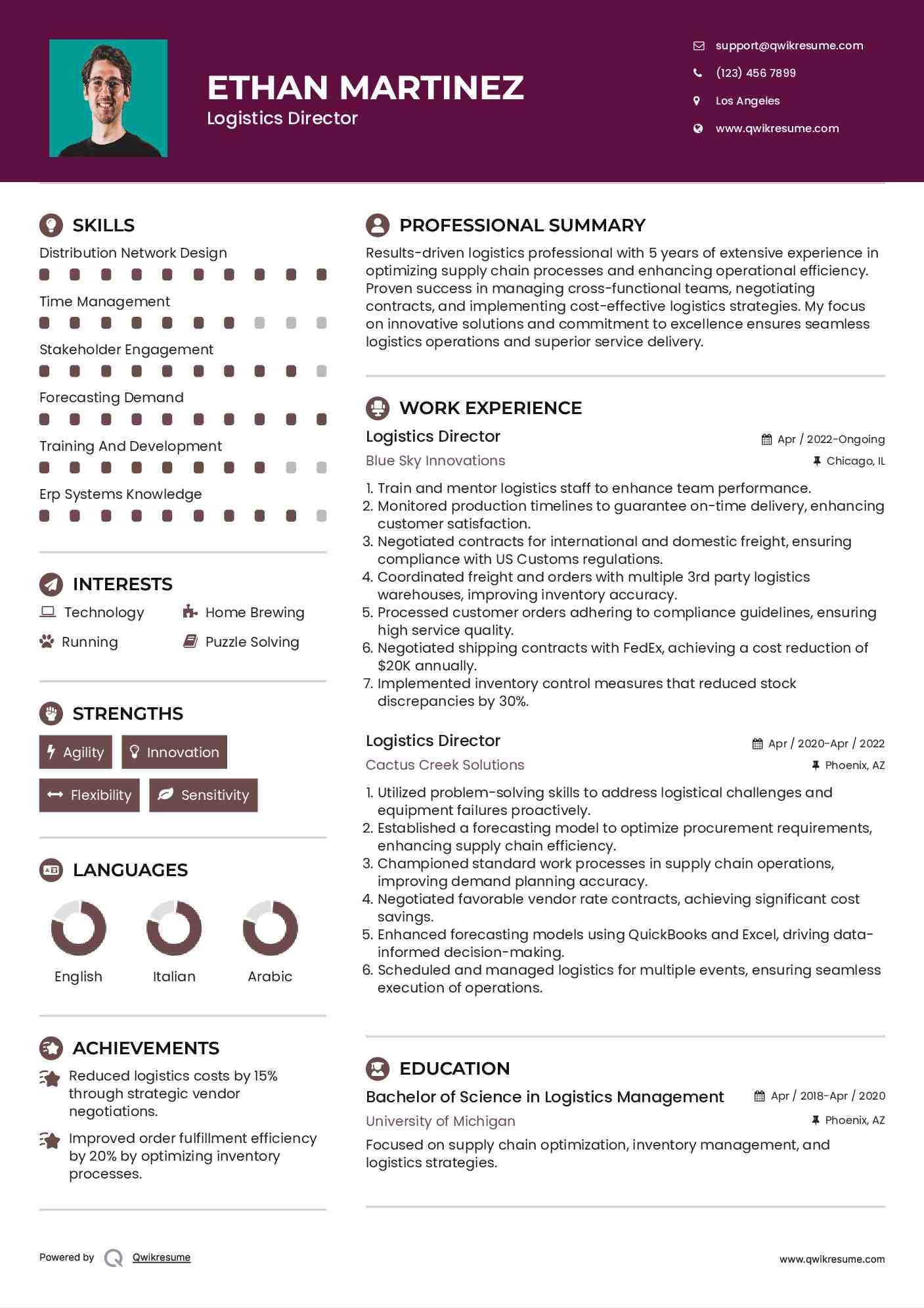 Logistics Director Resume Template