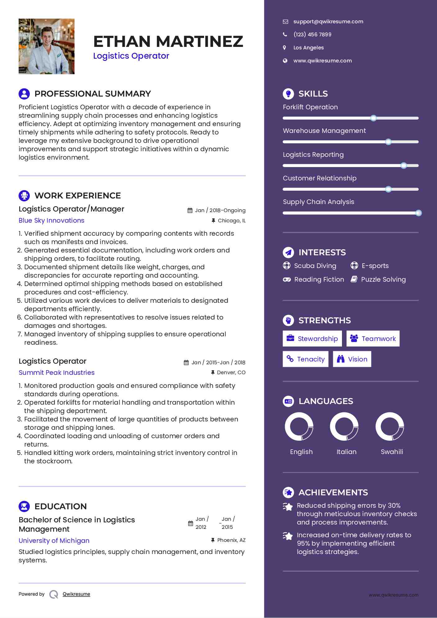 Logistics Operator/Manager Resume Example