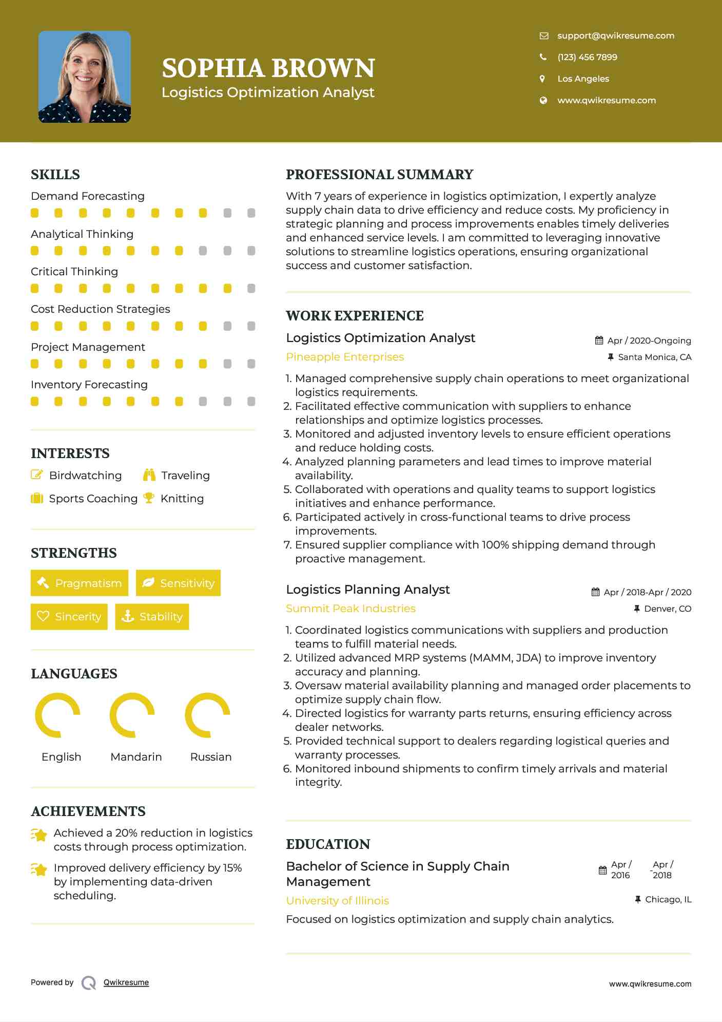 Logistics Optimization Analyst Resume Sample