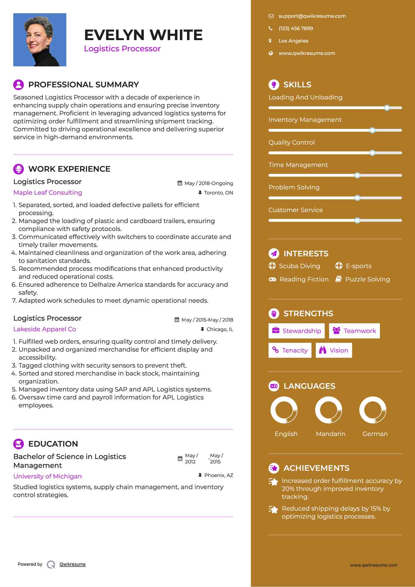 Logistics Processor Resume Sample