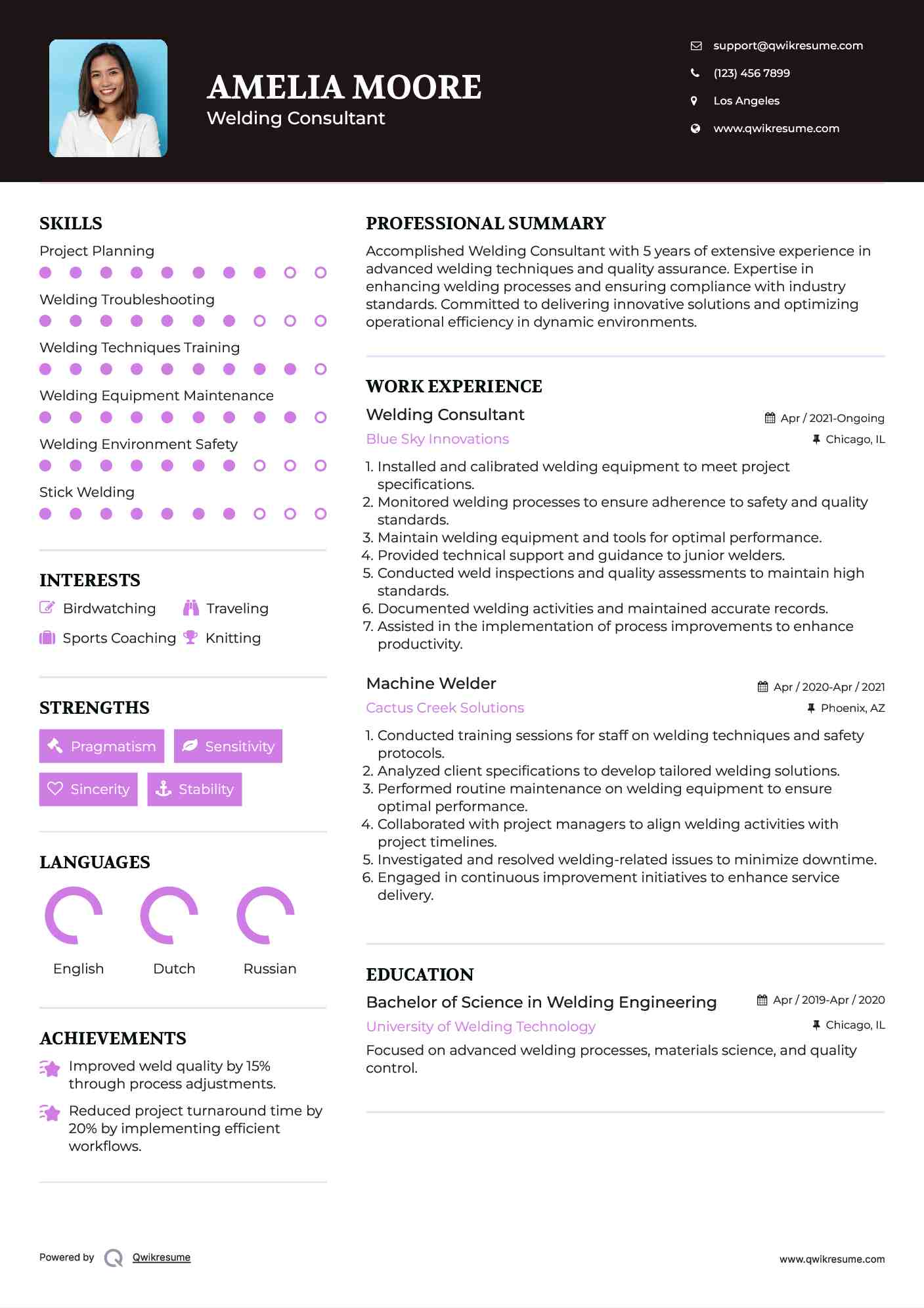 Welding Consultant Resume Example