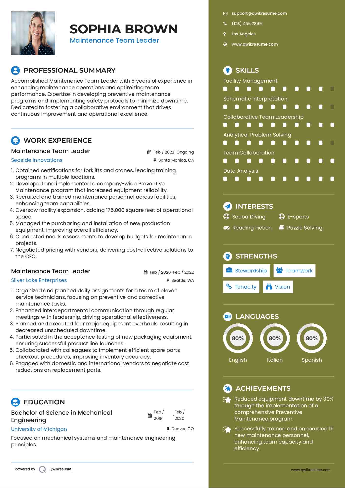 Maintenance Team Leader Resume Sample