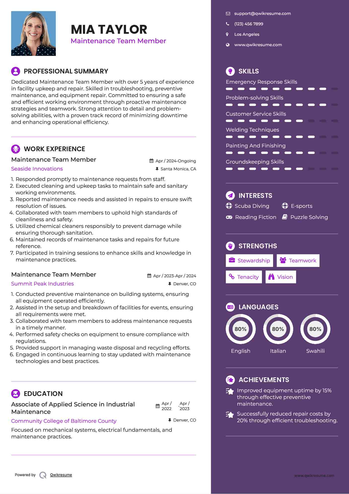 Maintenance Team Member Resume Example