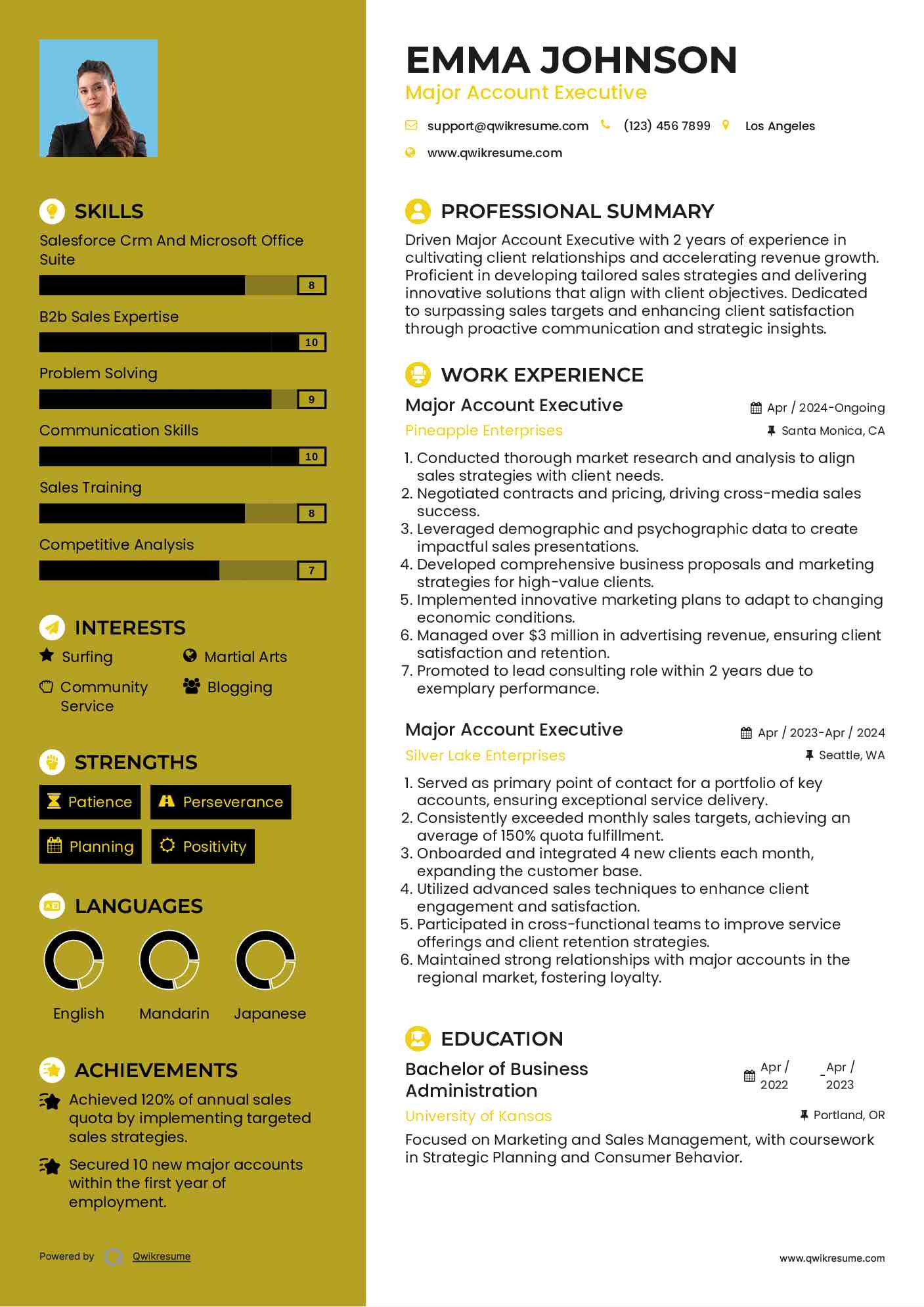 Major Account Executive Resume Template