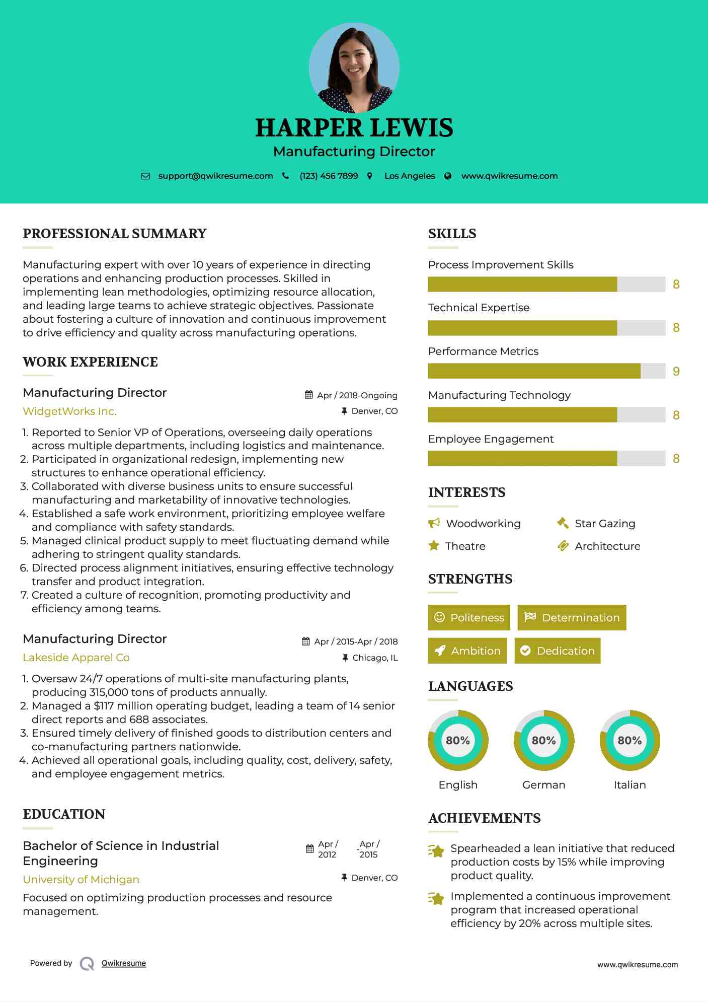 Manufacturing Director Resume Model