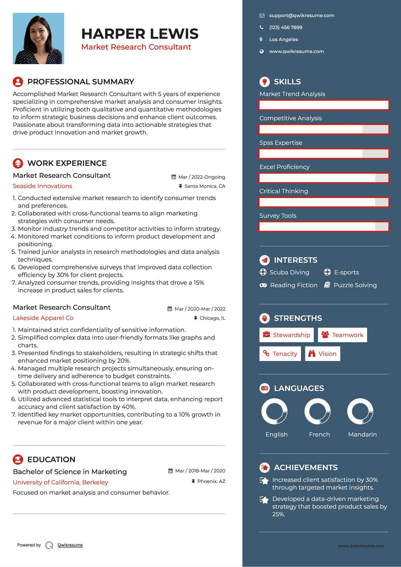 Market Research Consultant Resume Template