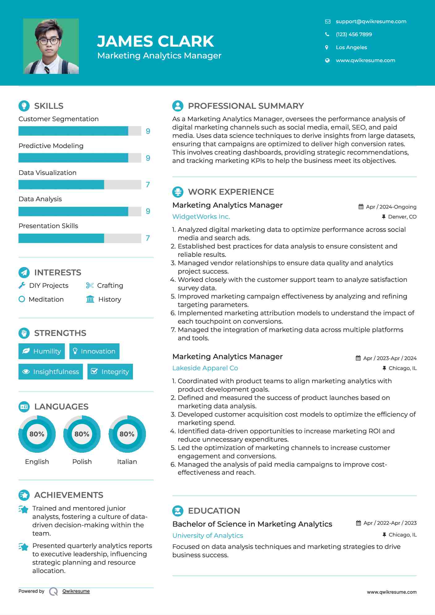 Marketing Analytics Manager Resume Sample