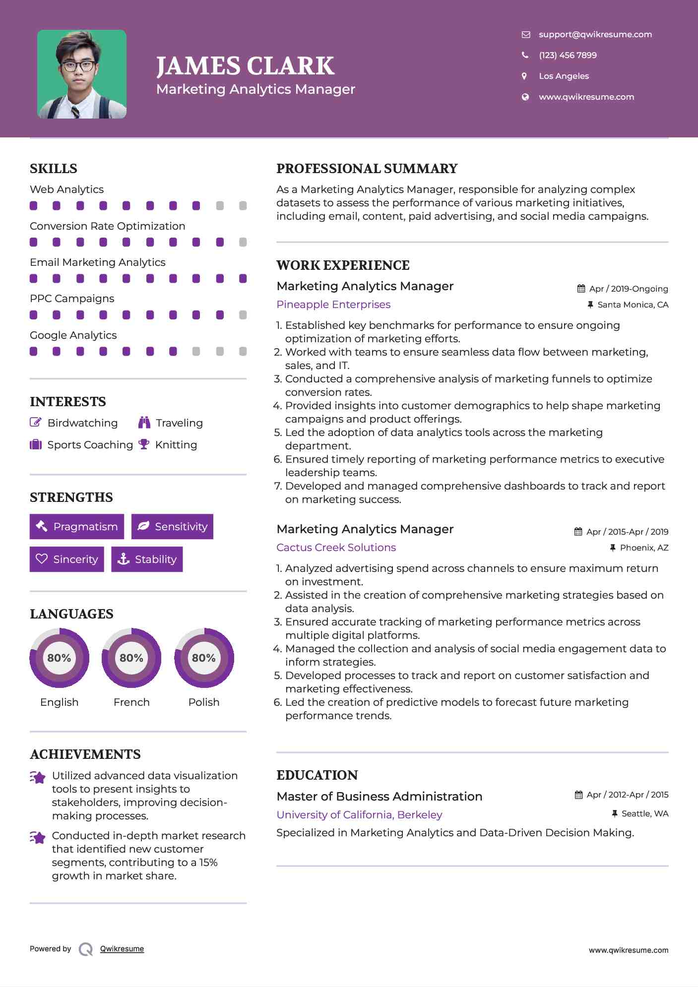 Marketing Analytics Manager Resume Format