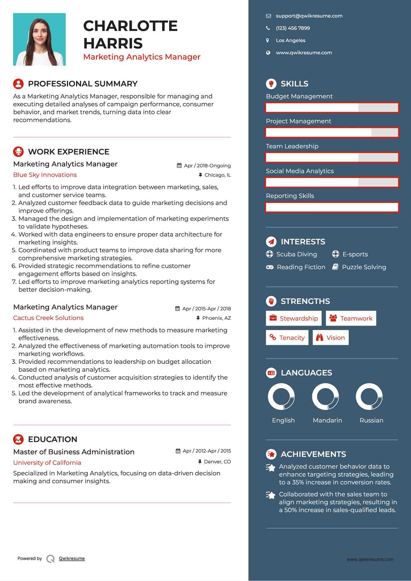 Marketing Analytics Manager Resume Example
