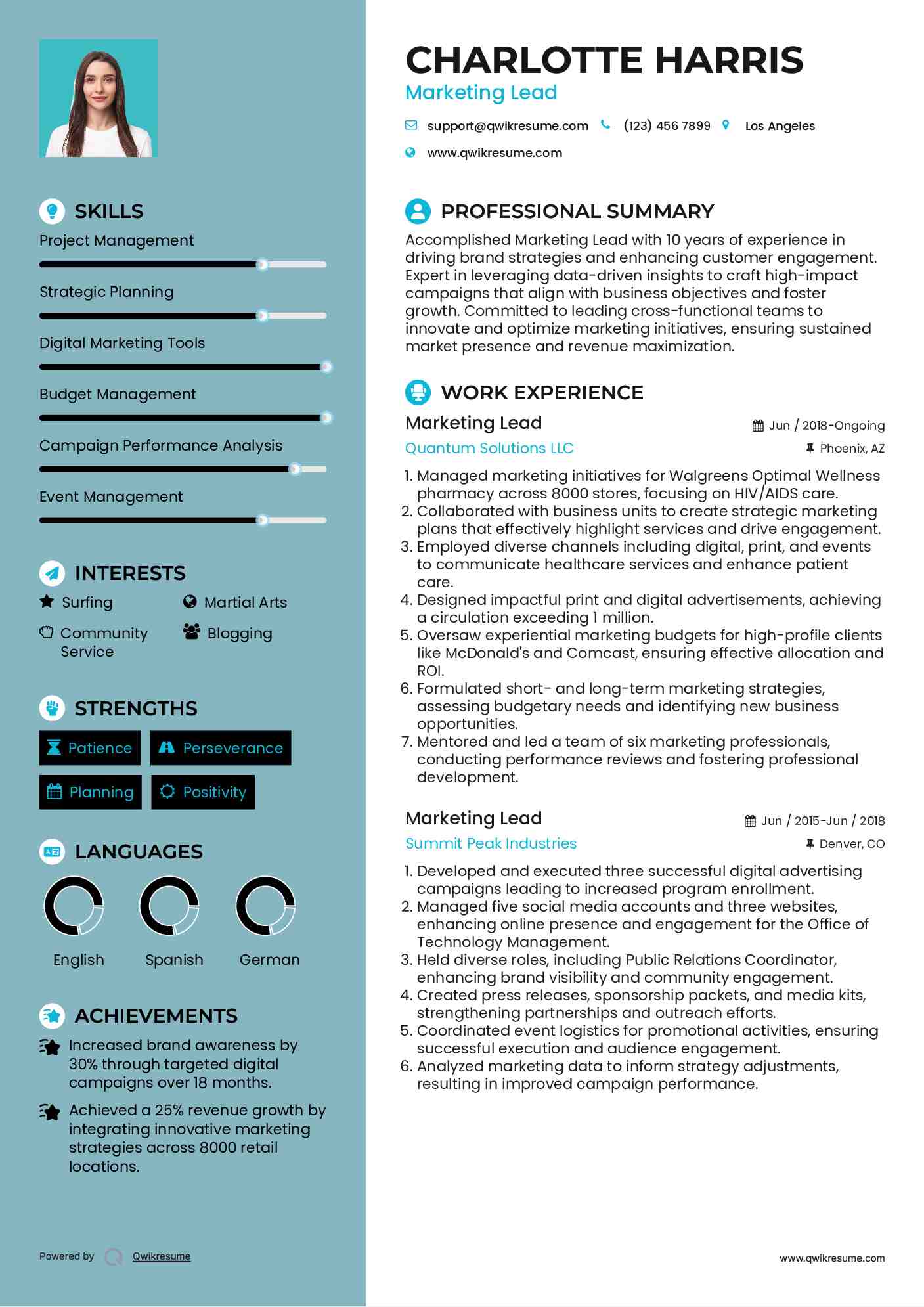 Marketing Lead Resume Format