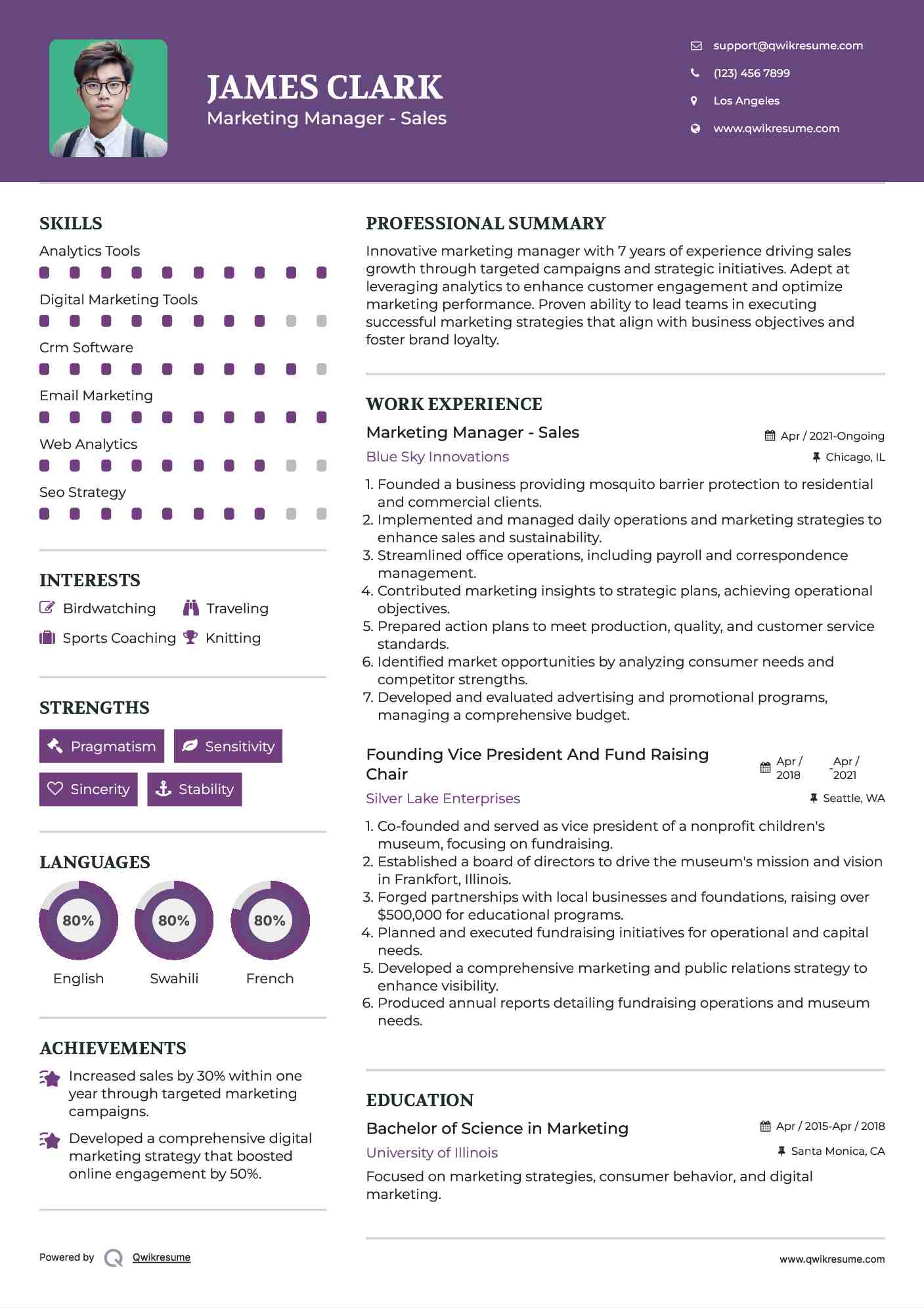 Marketing Manager - Sales Resume Template
