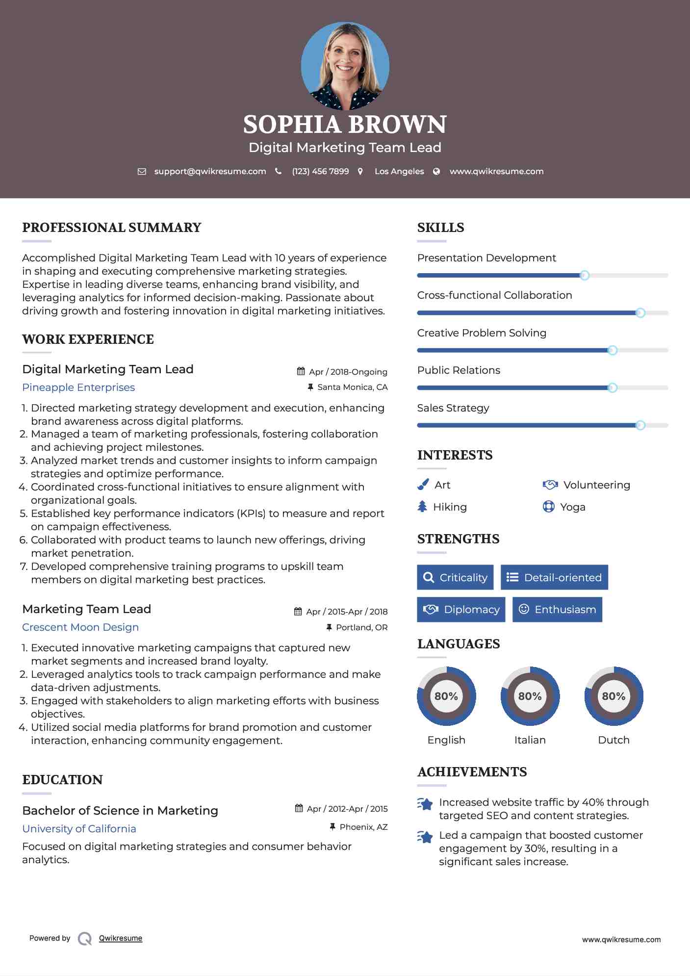 Digital Marketing Team Lead Resume Format