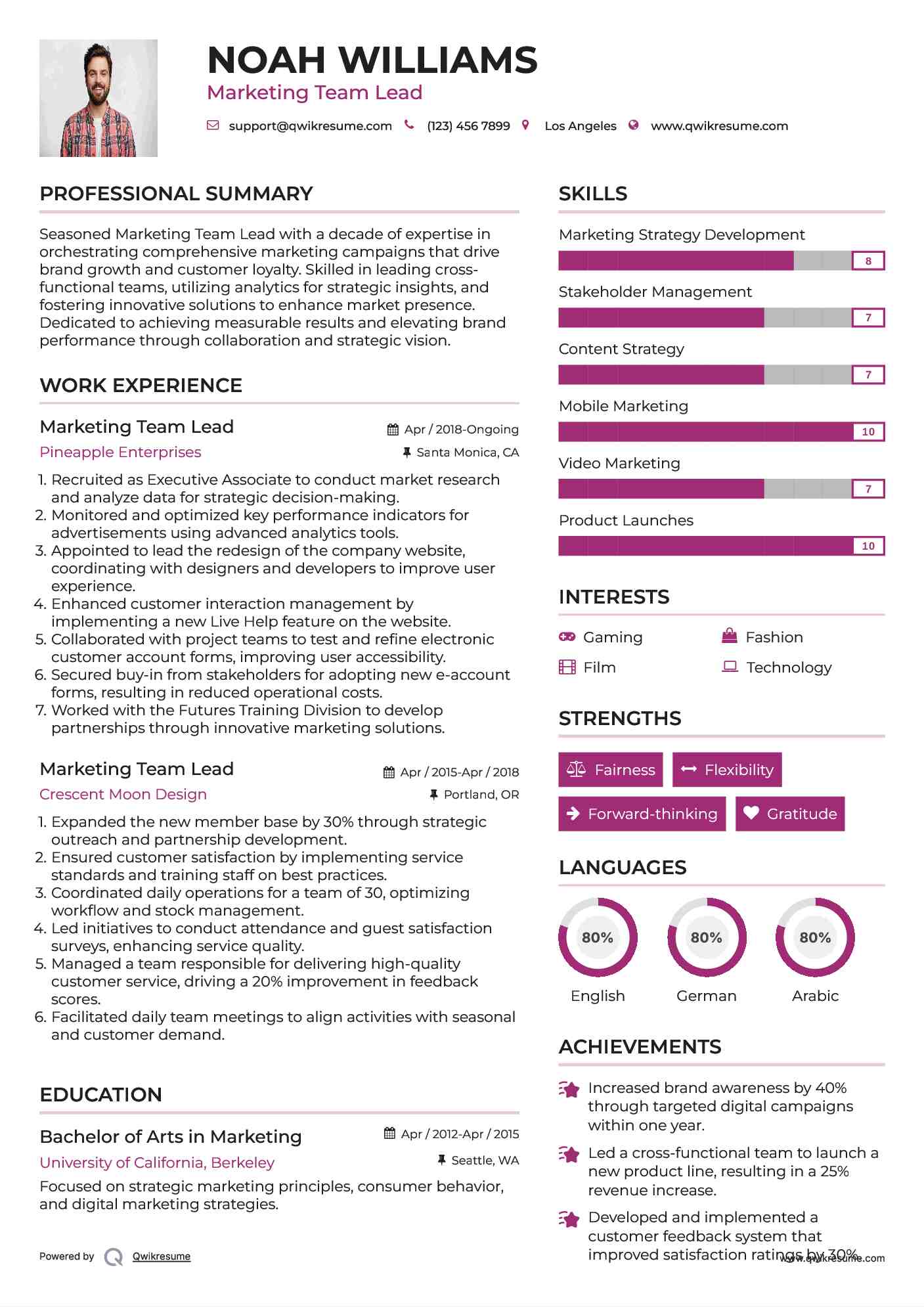 Marketing Team Lead Resume Example