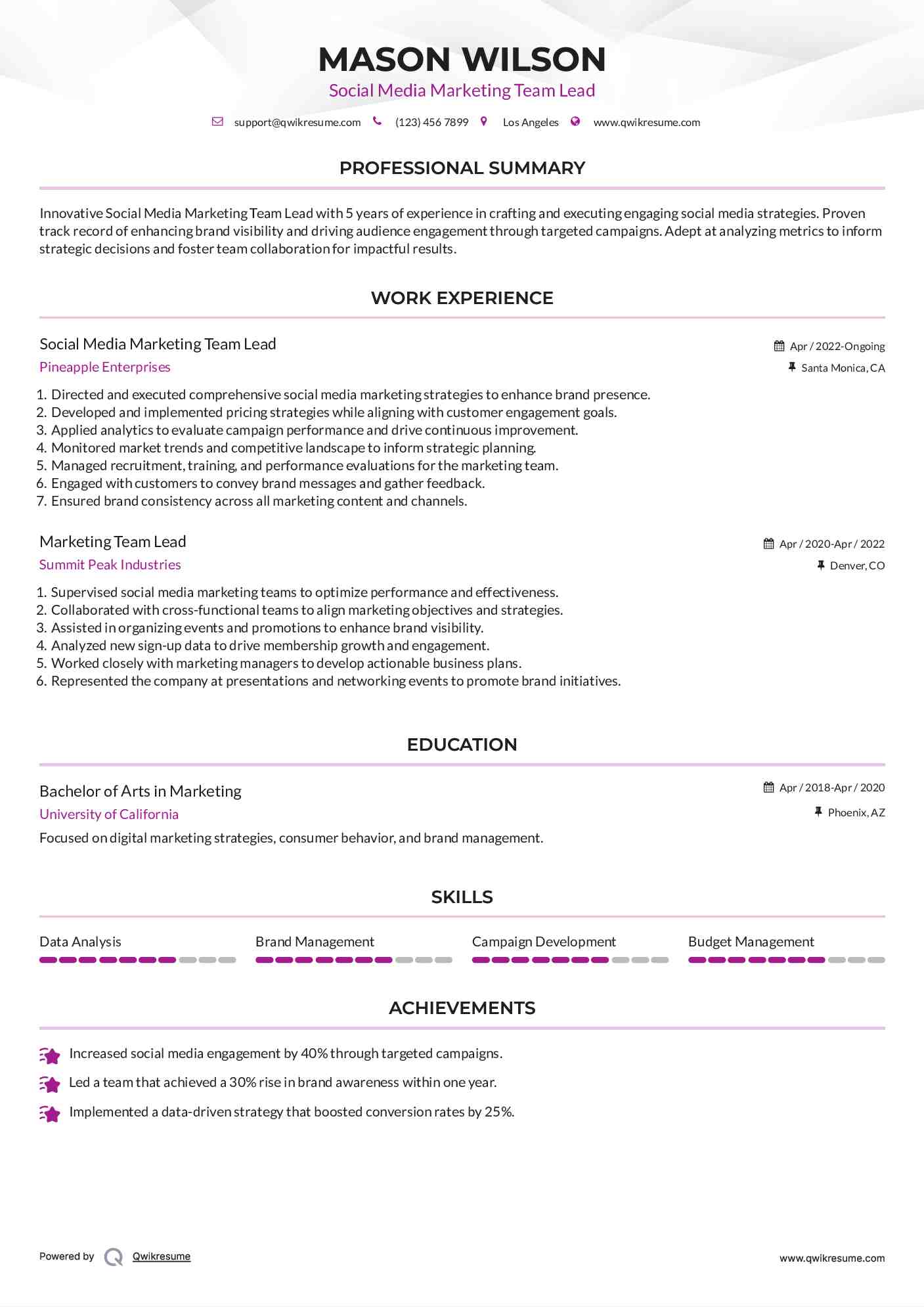 Social Media Marketing Team Lead Resume Model