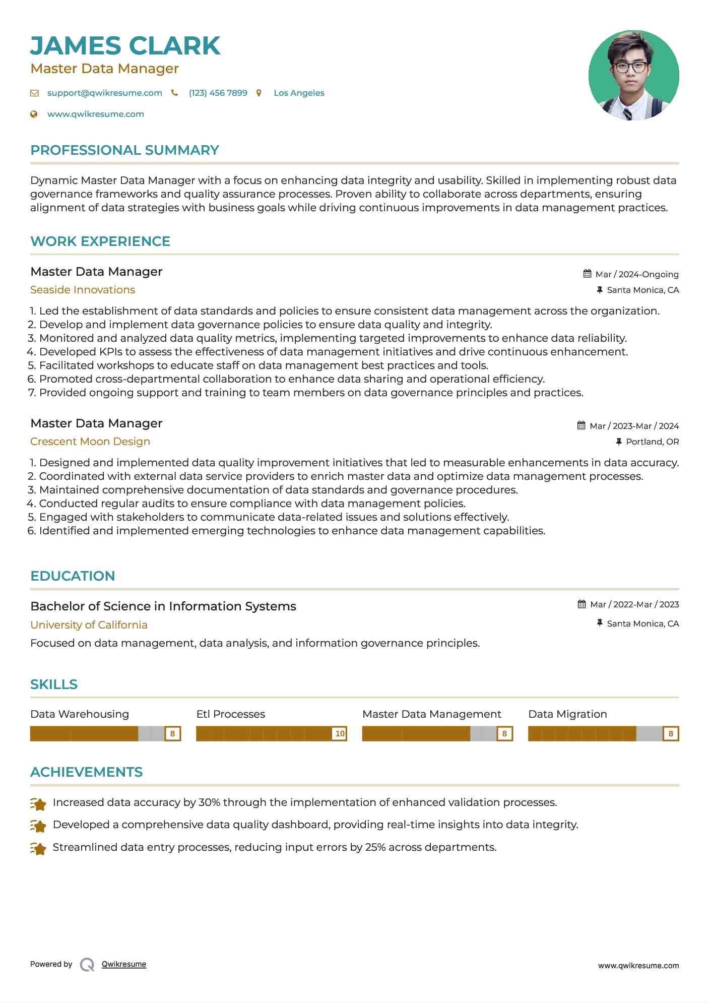 Master Data Manager Resume Model