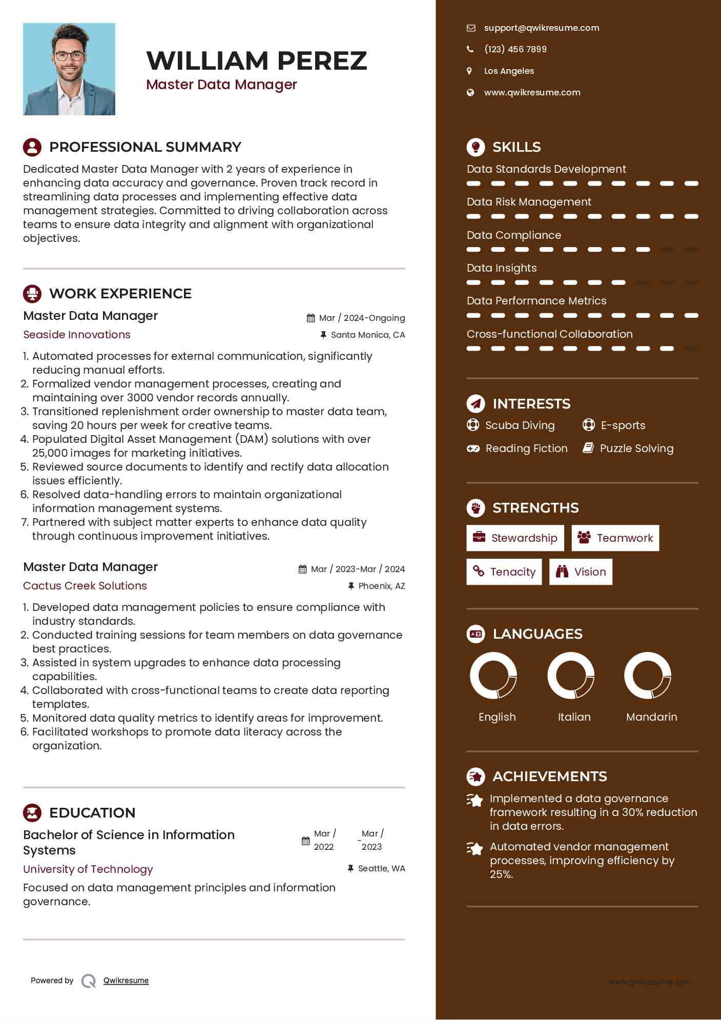 Master Data Manager Resume Format