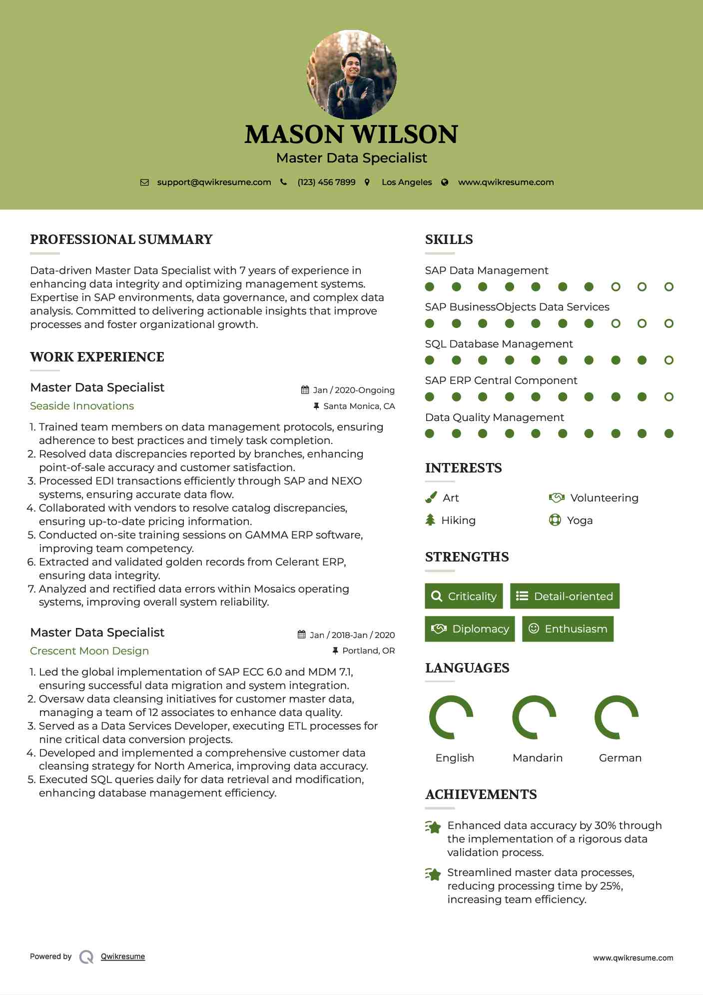 Master Data Specialist Resume Model