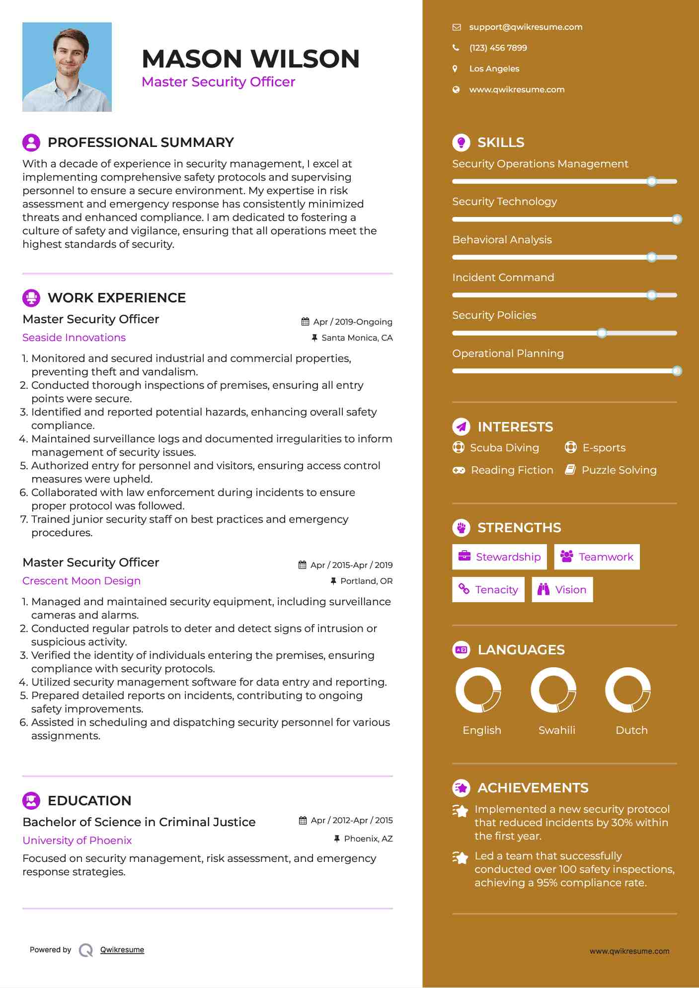 Master Security Officer Resume Template