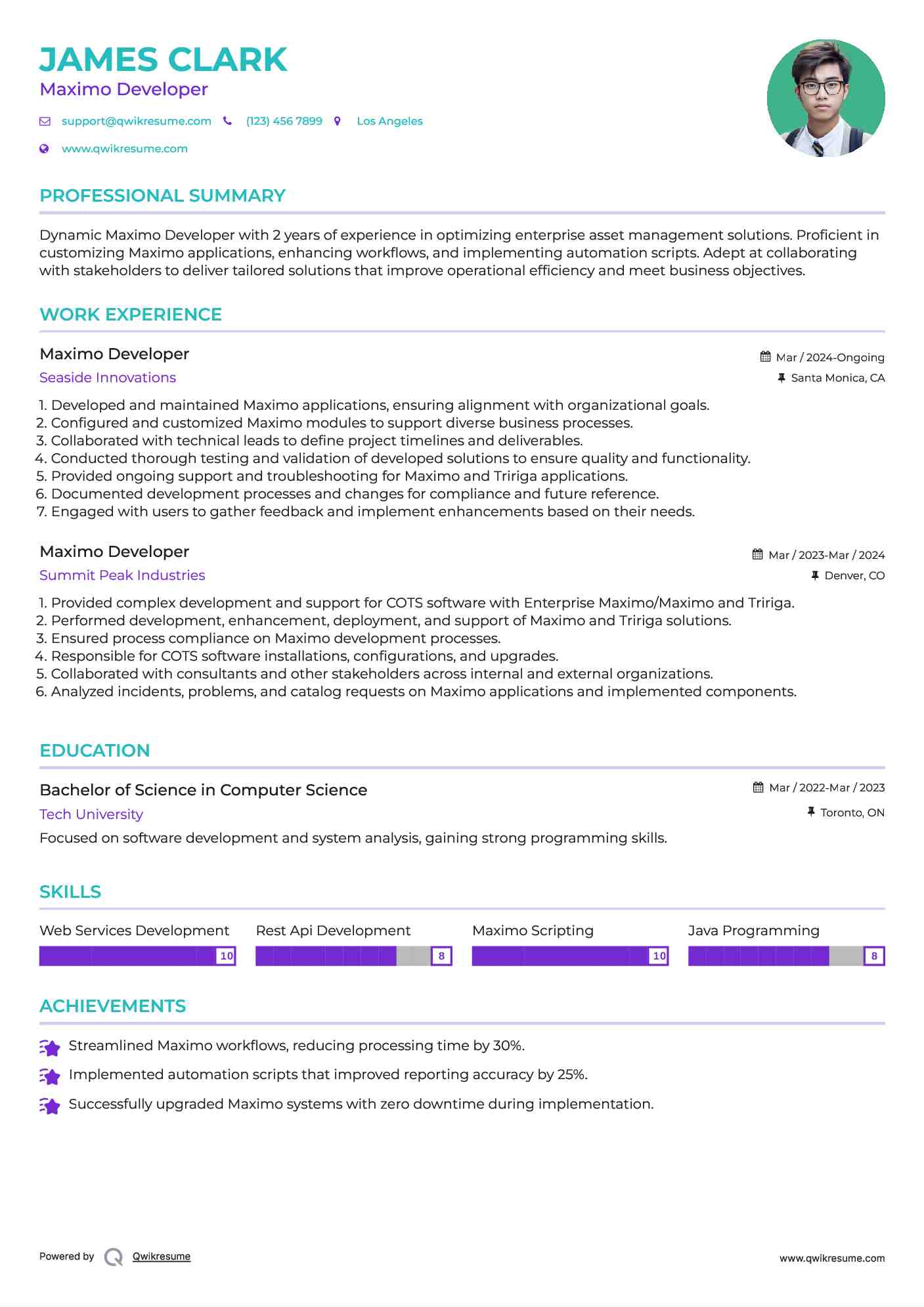 Maximo Developer Resume Sample