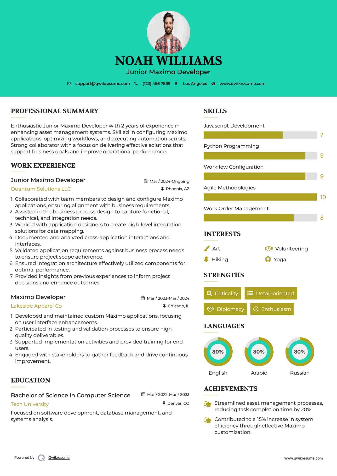 Junior Maximo Developer Resume Example