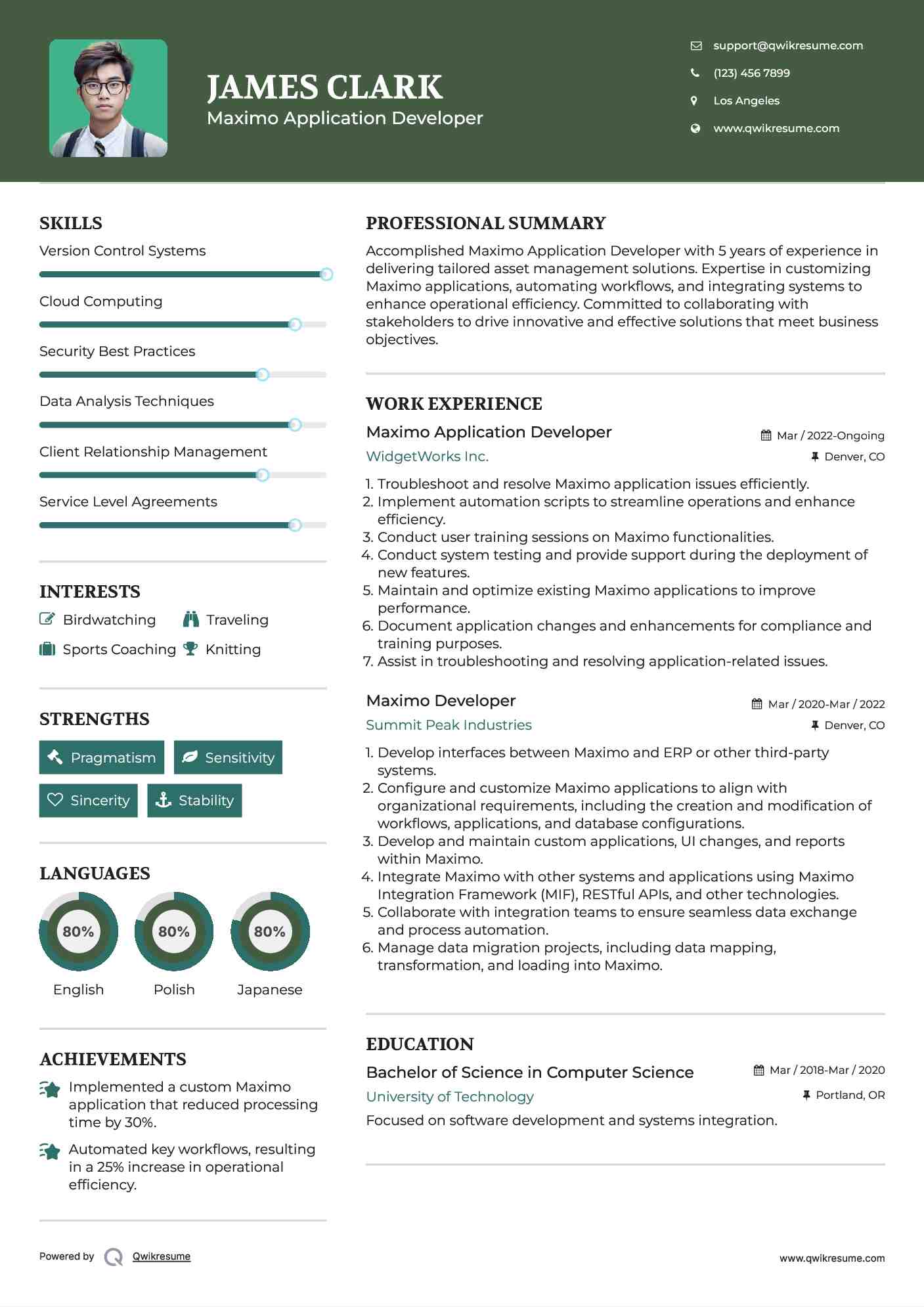 Maximo Application Developer Resume Model