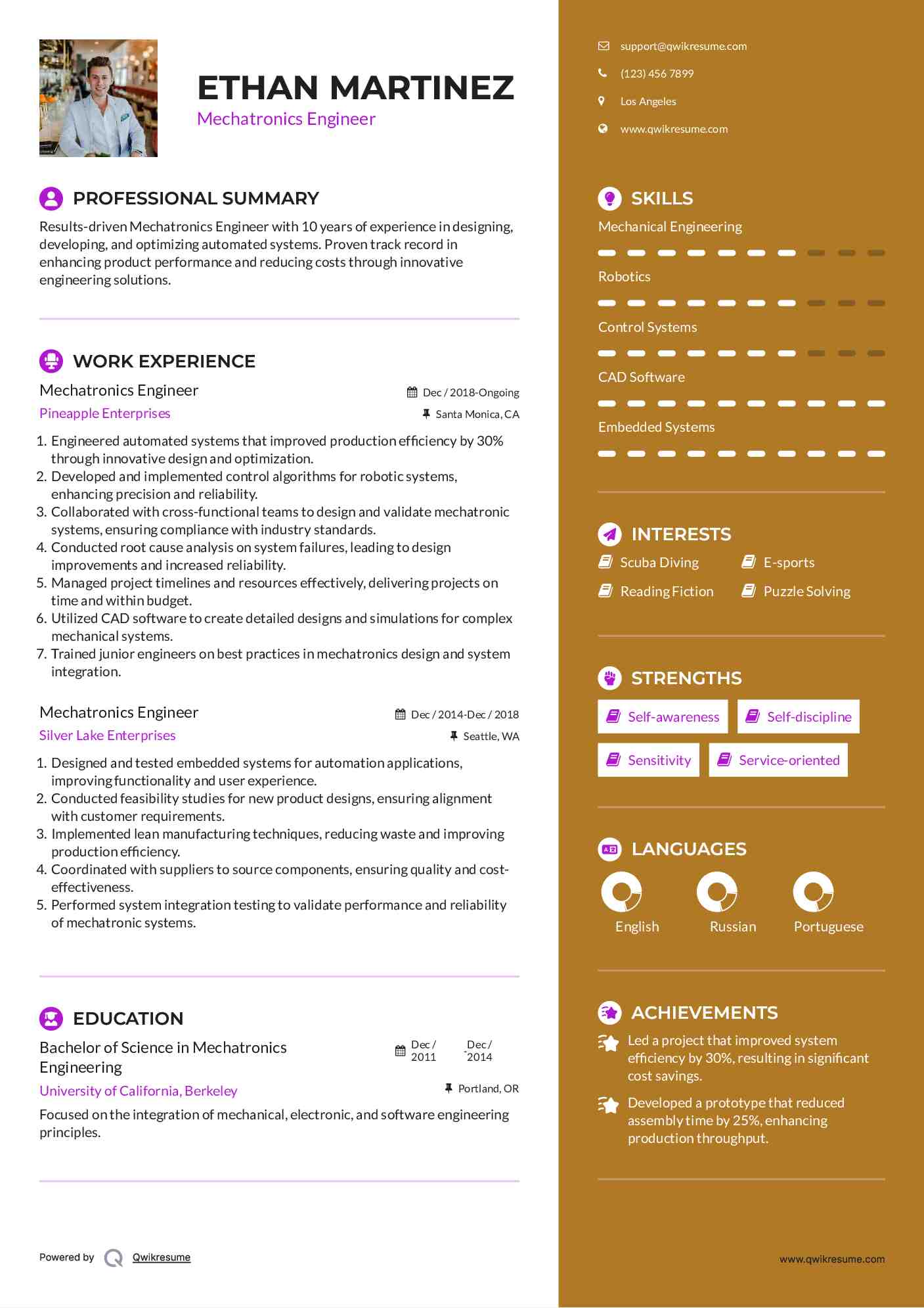 Mechatronics Engineer Resume Format
