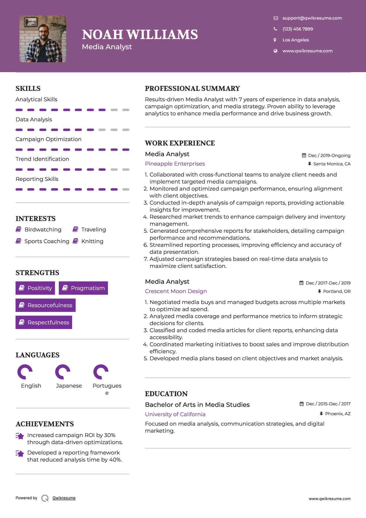 Media Analyst Resume Sample