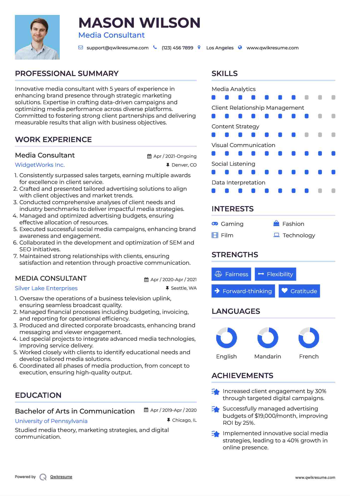 Media Consultant Resume Model