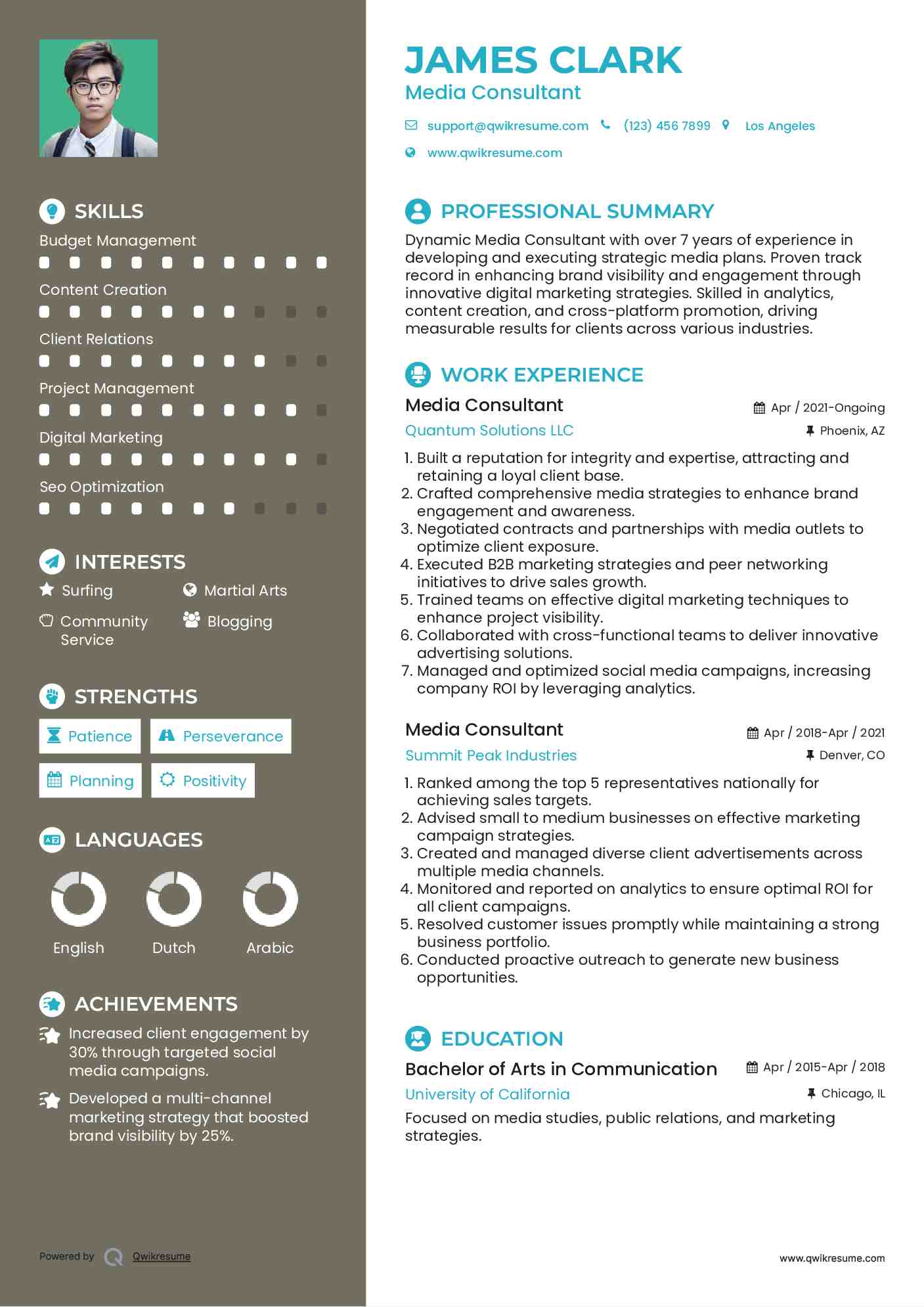 Media Consultant Resume Sample