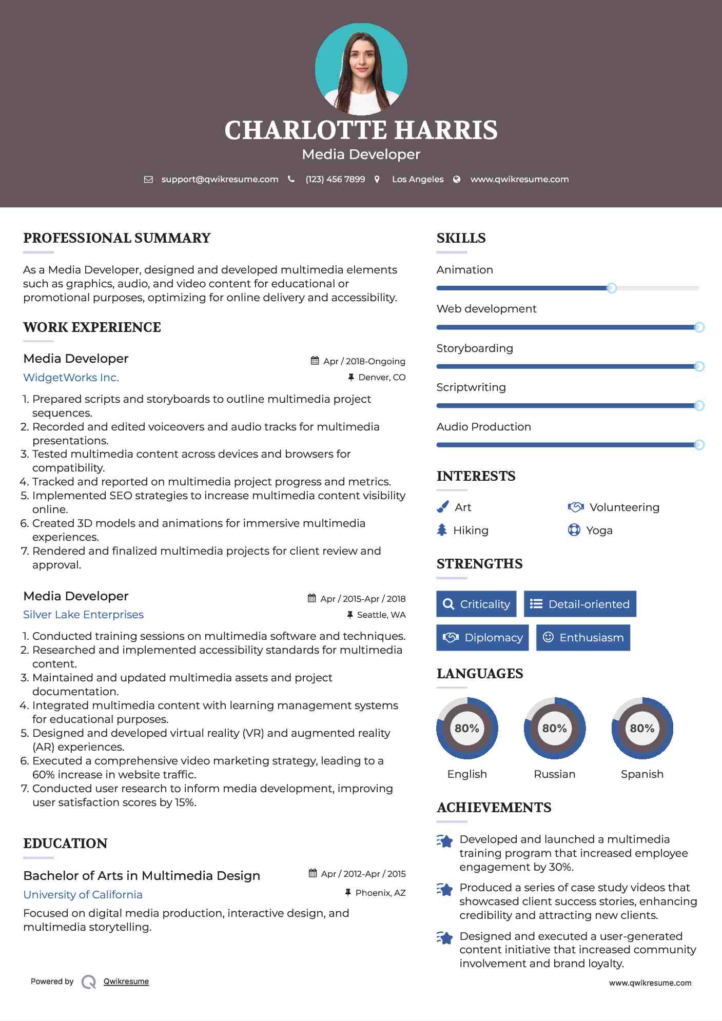 Media Developer Resume Template