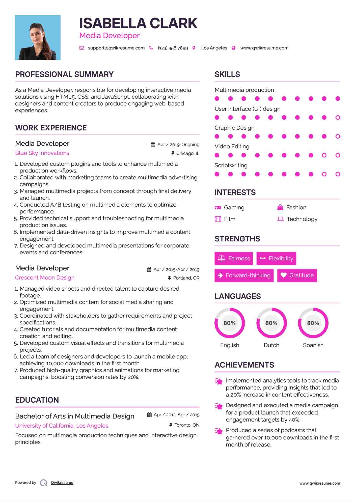 Media Developer Resume Template
