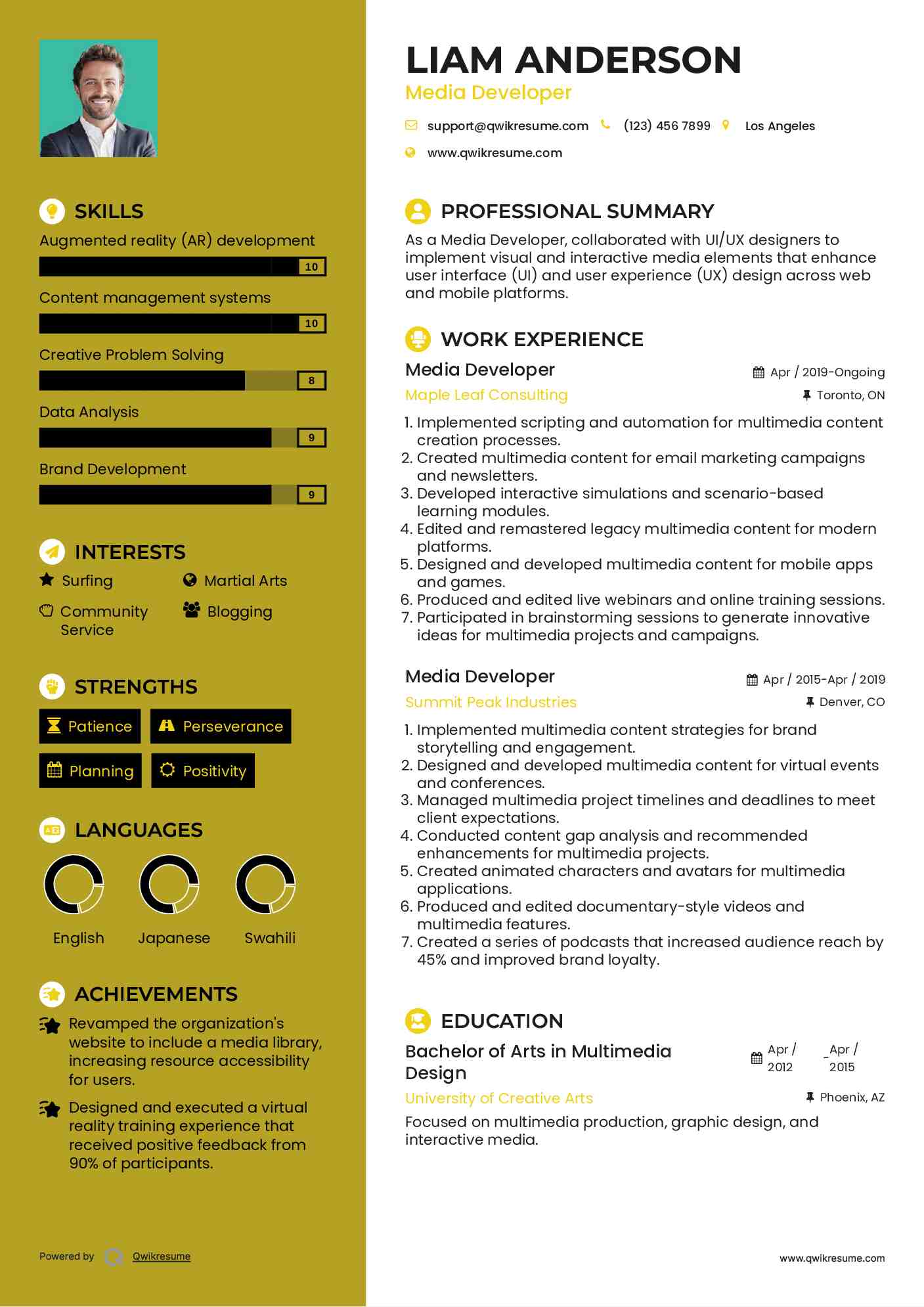 Media Developer Resume Model