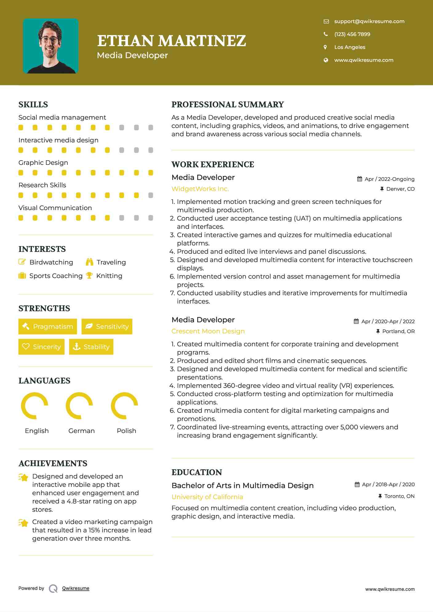 Media Developer Resume Format
