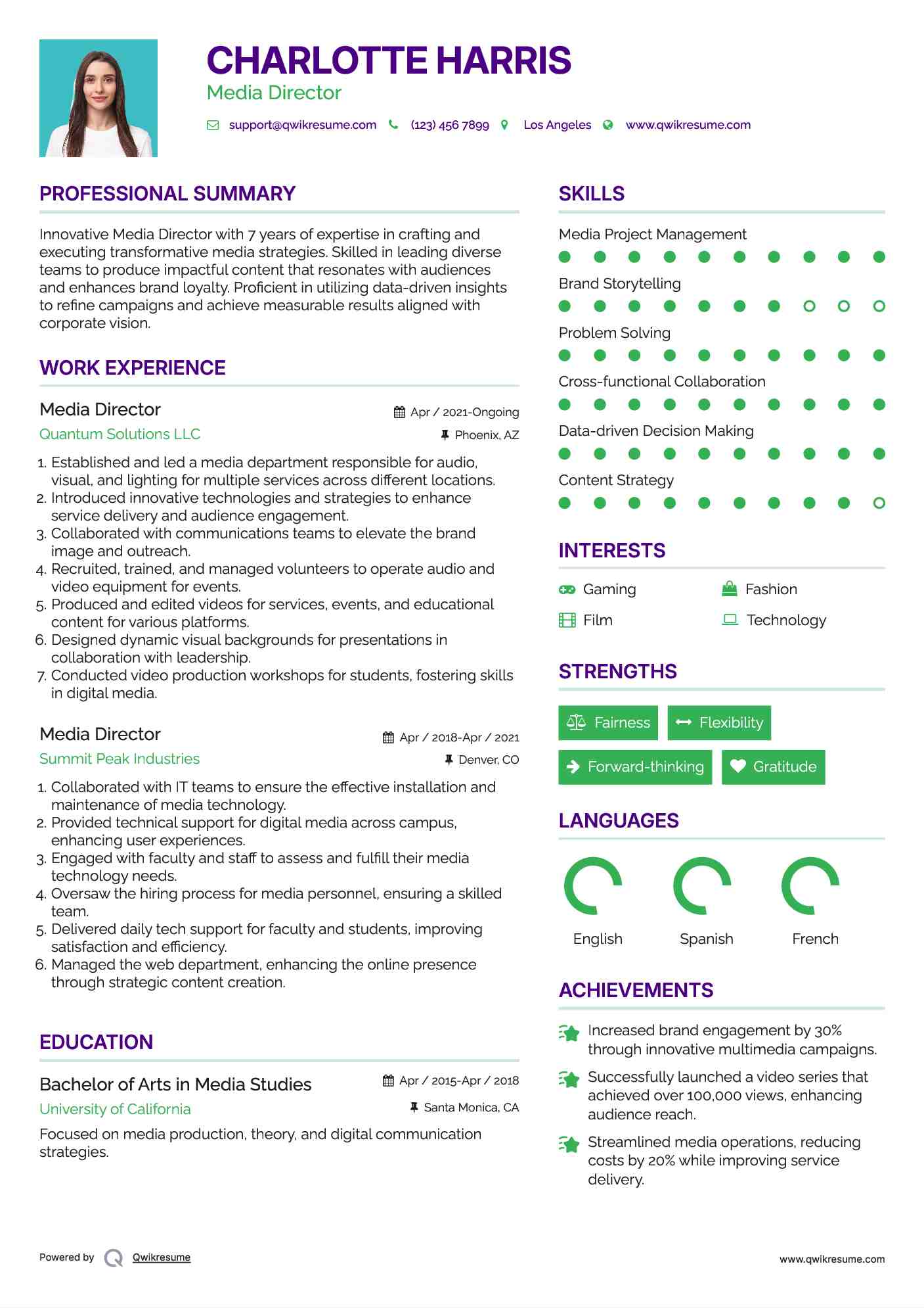 Media Director Resume Example