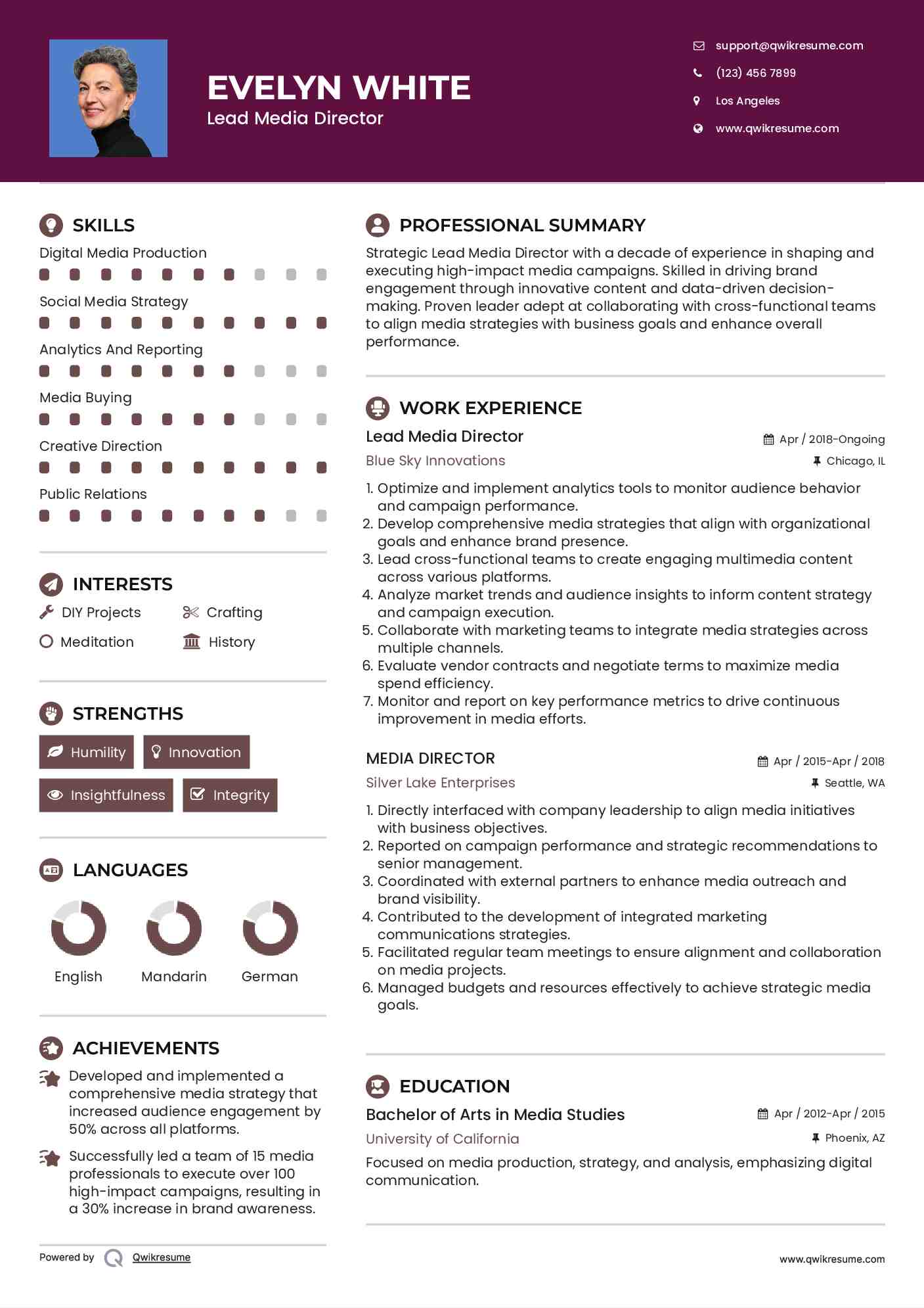 Lead Media Director Resume Format