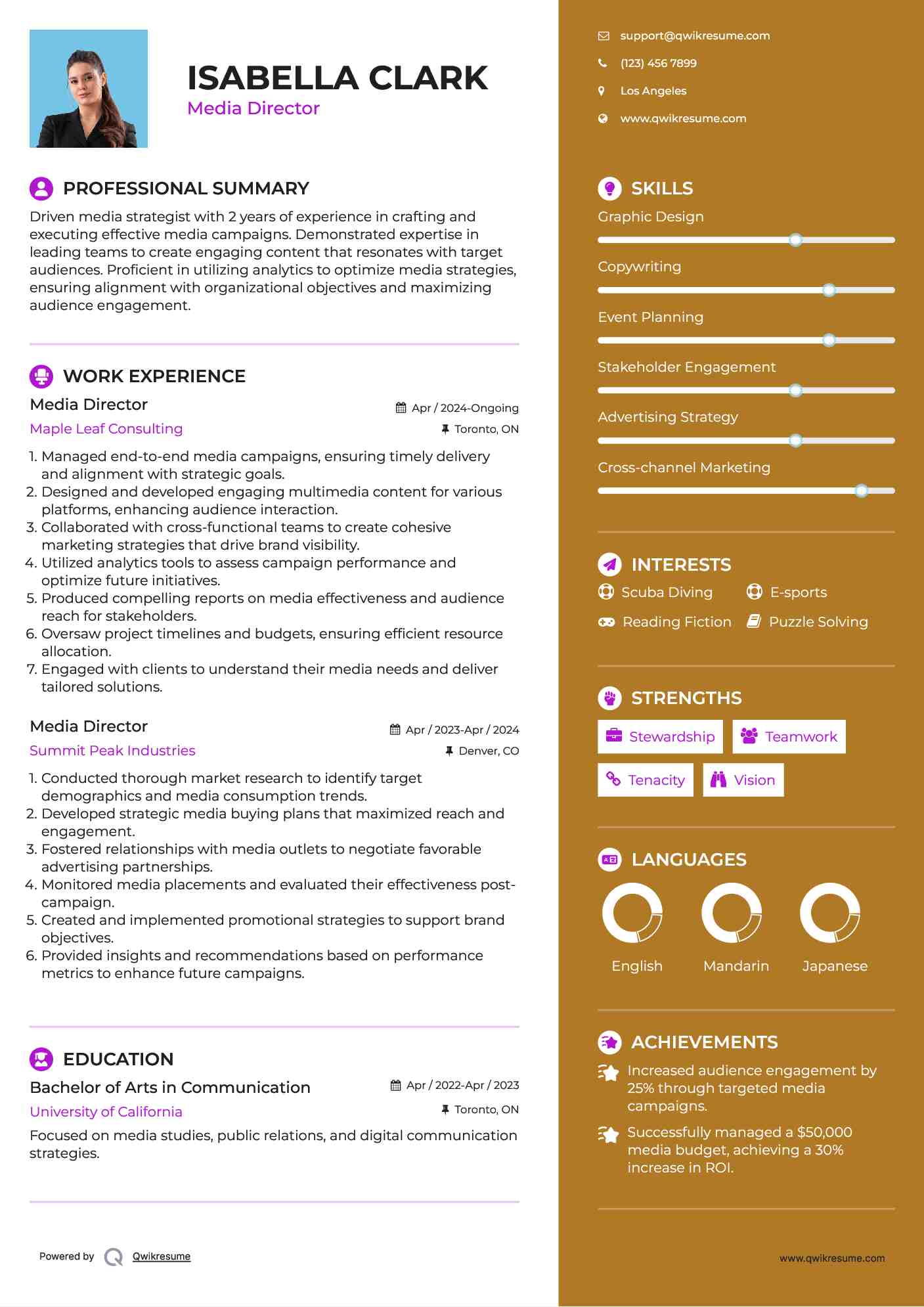 Media Director Resume Template