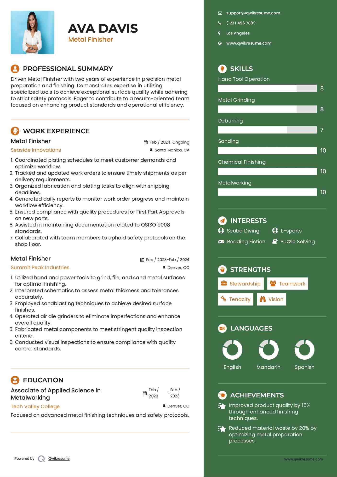 Metal Finisher Resume Format