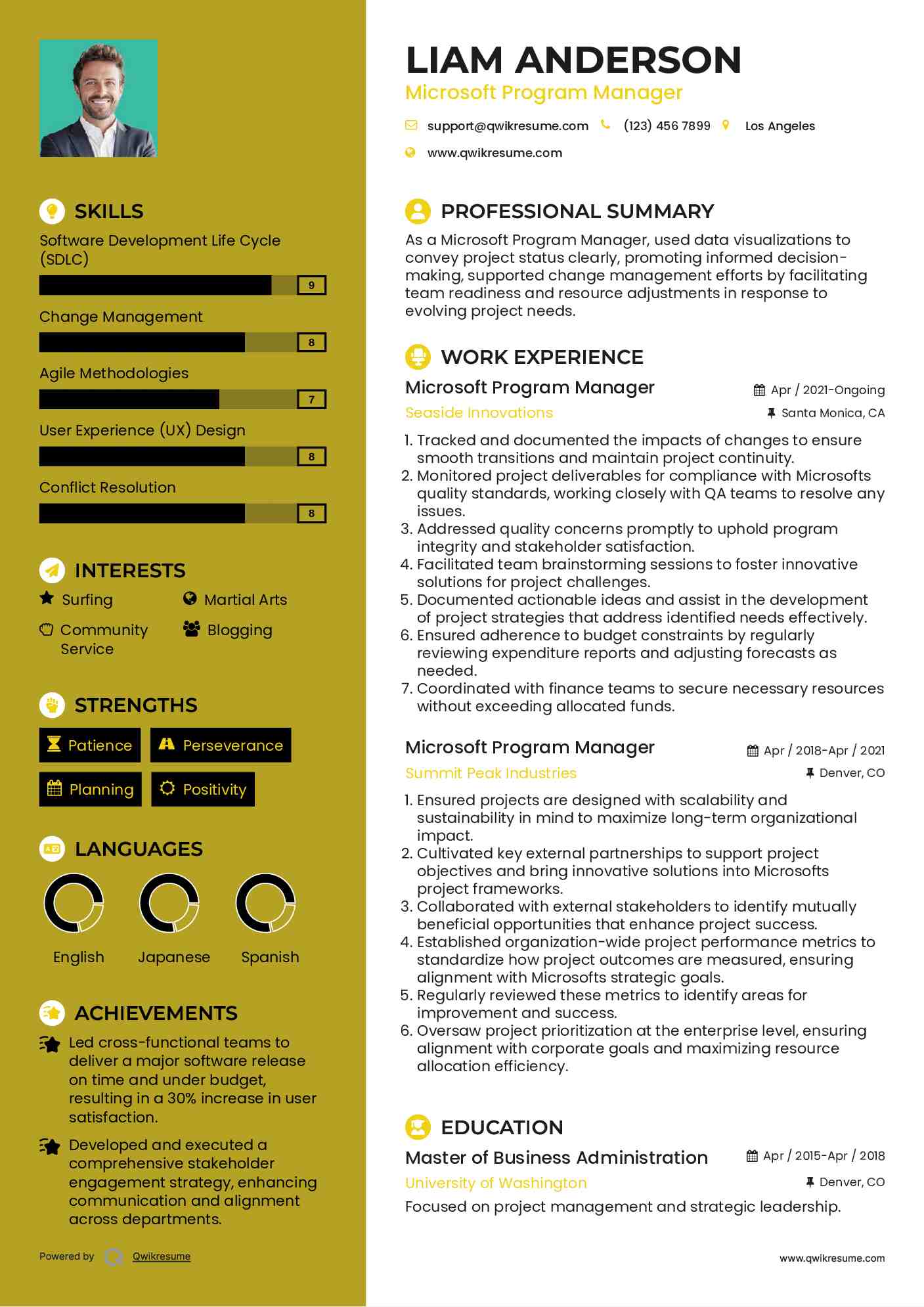 Microsoft Program Manager Resume Model
