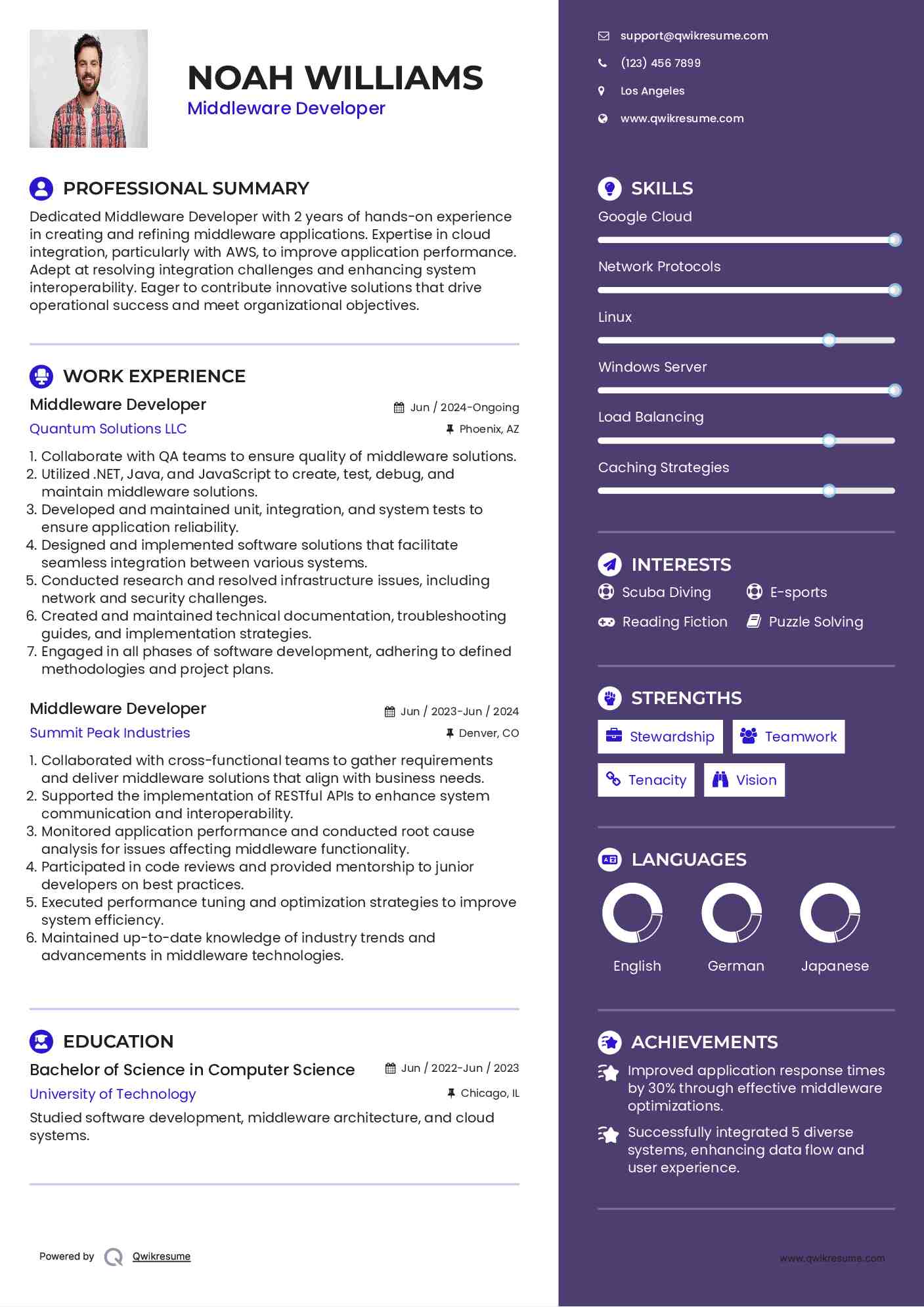 Middleware Developer Resume Template