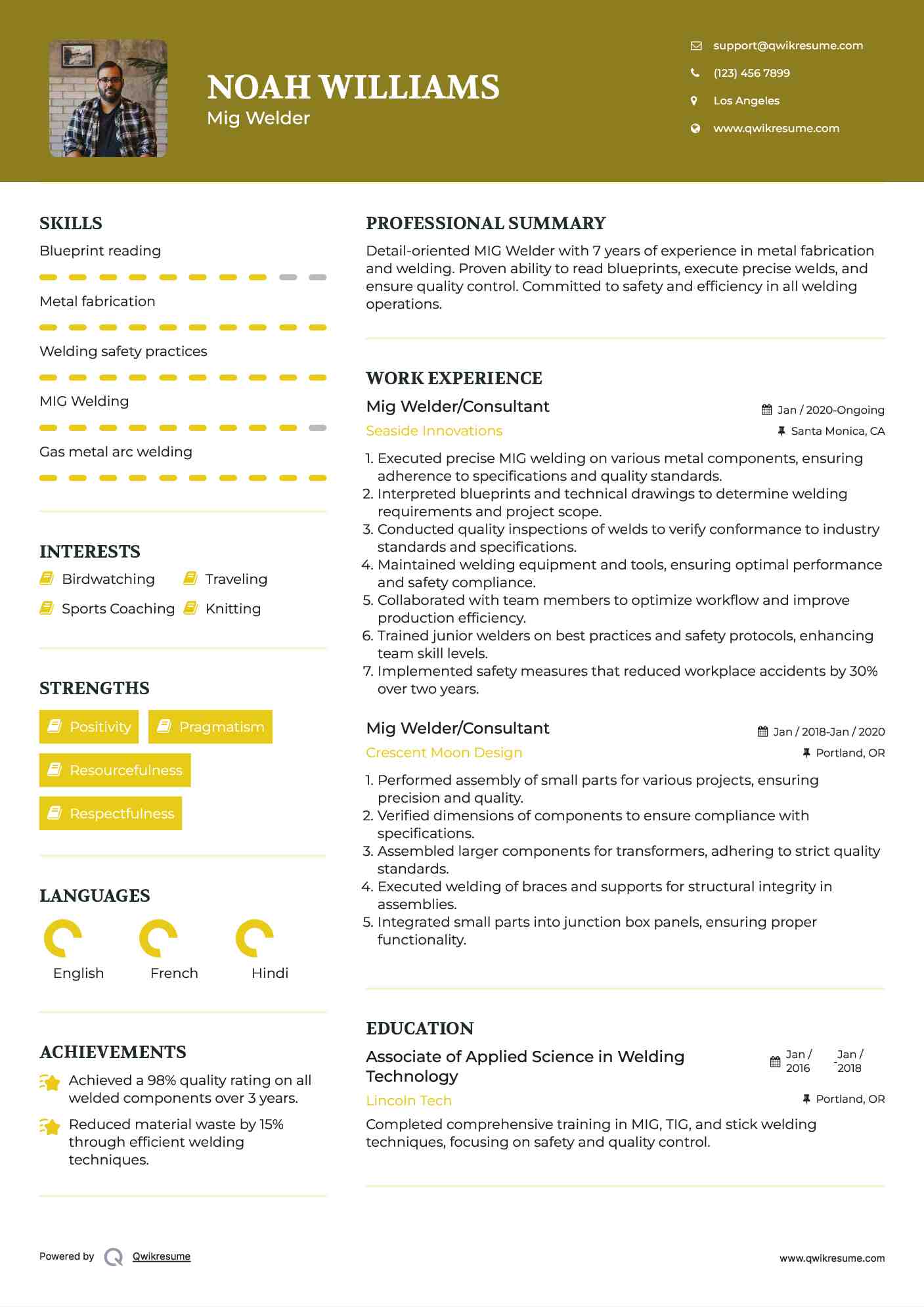 Mig Welder/Consultant Resume Example