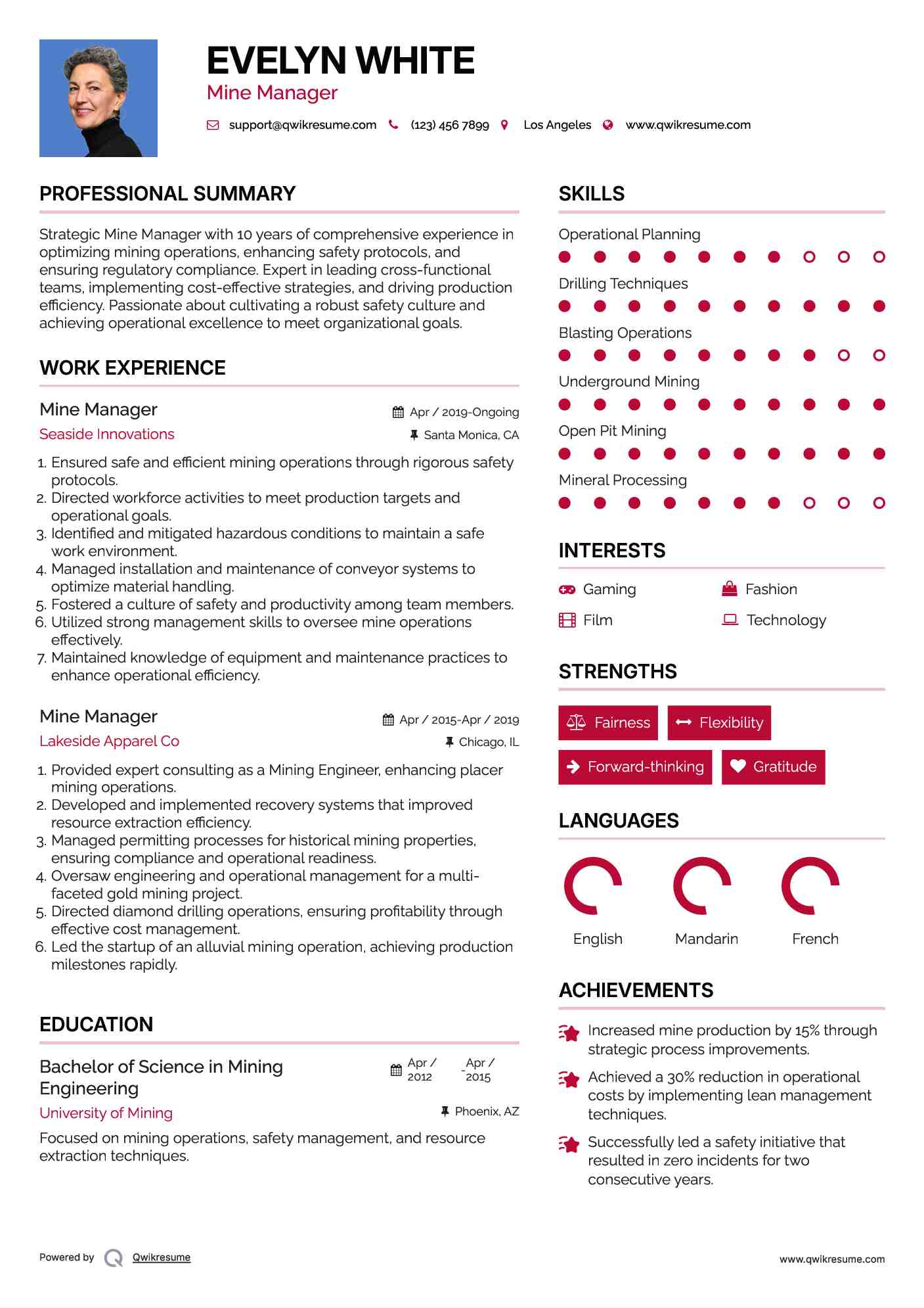 Mine Manager Resume Format